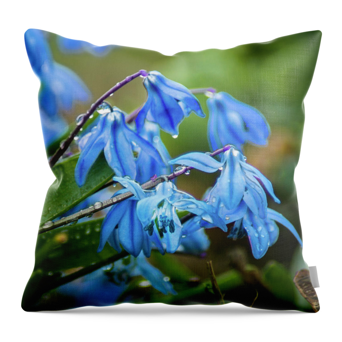 Blue Throw Pillow featuring the photograph A Wet Spring by Bill Pevlor