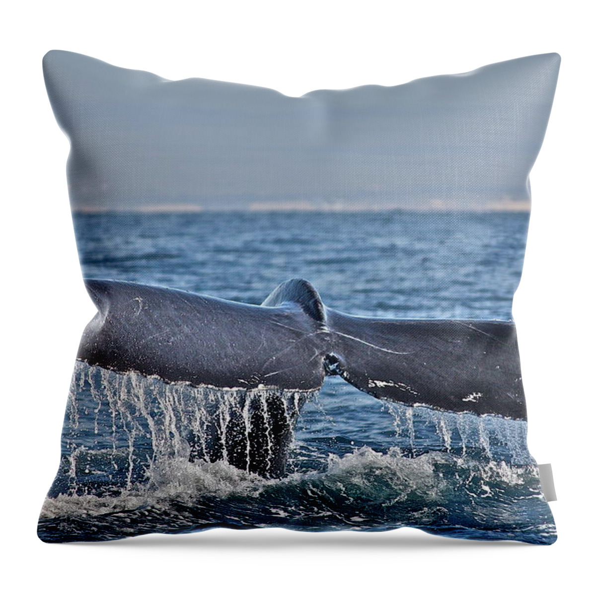 Whale Throw Pillow featuring the photograph A Whale of a Tale by Diana Hatcher
