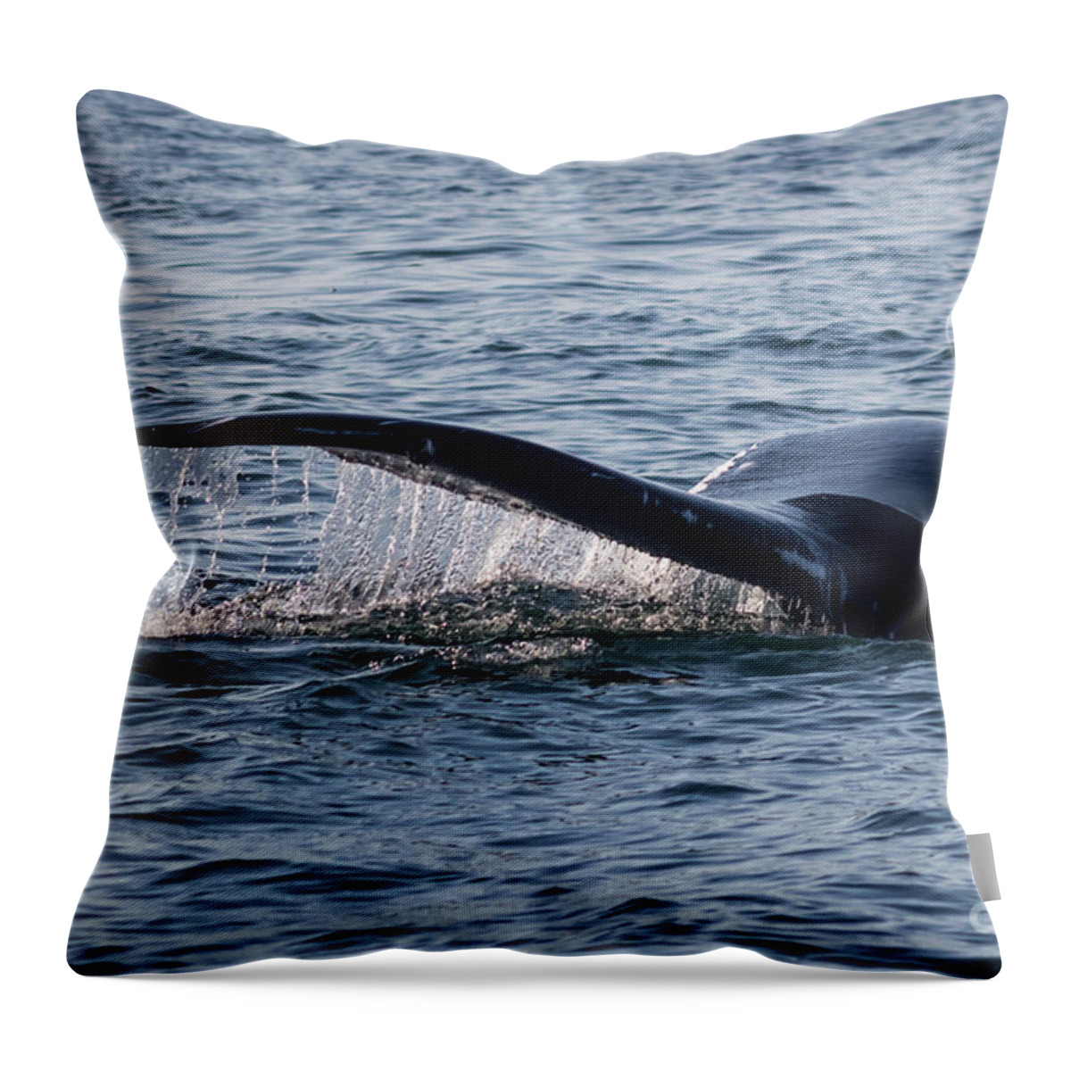 Whale Throw Pillow featuring the photograph A Whale Tail by Suzanne Luft