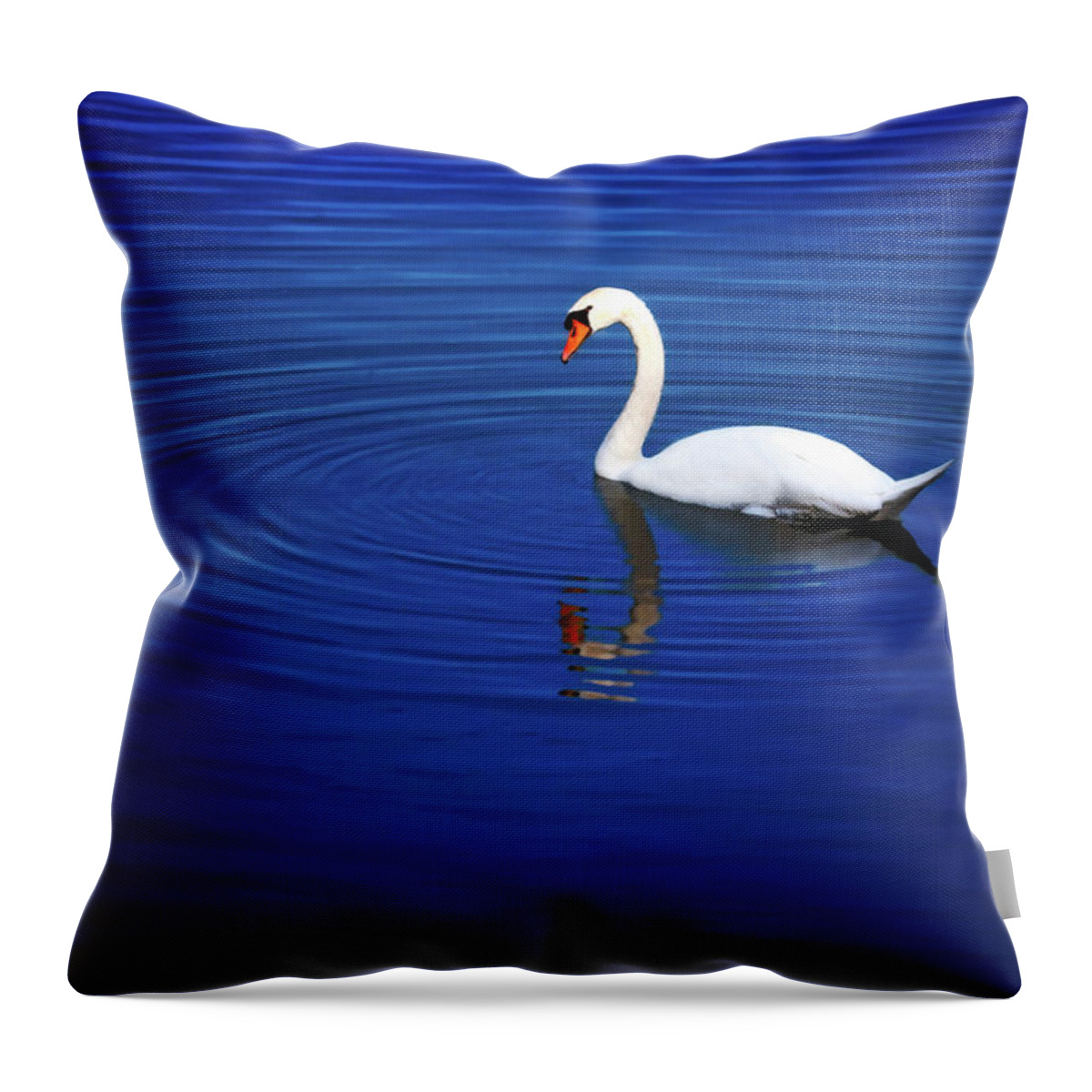 Animal Throw Pillow featuring the photograph A white swan in the lake by Tim Abeln