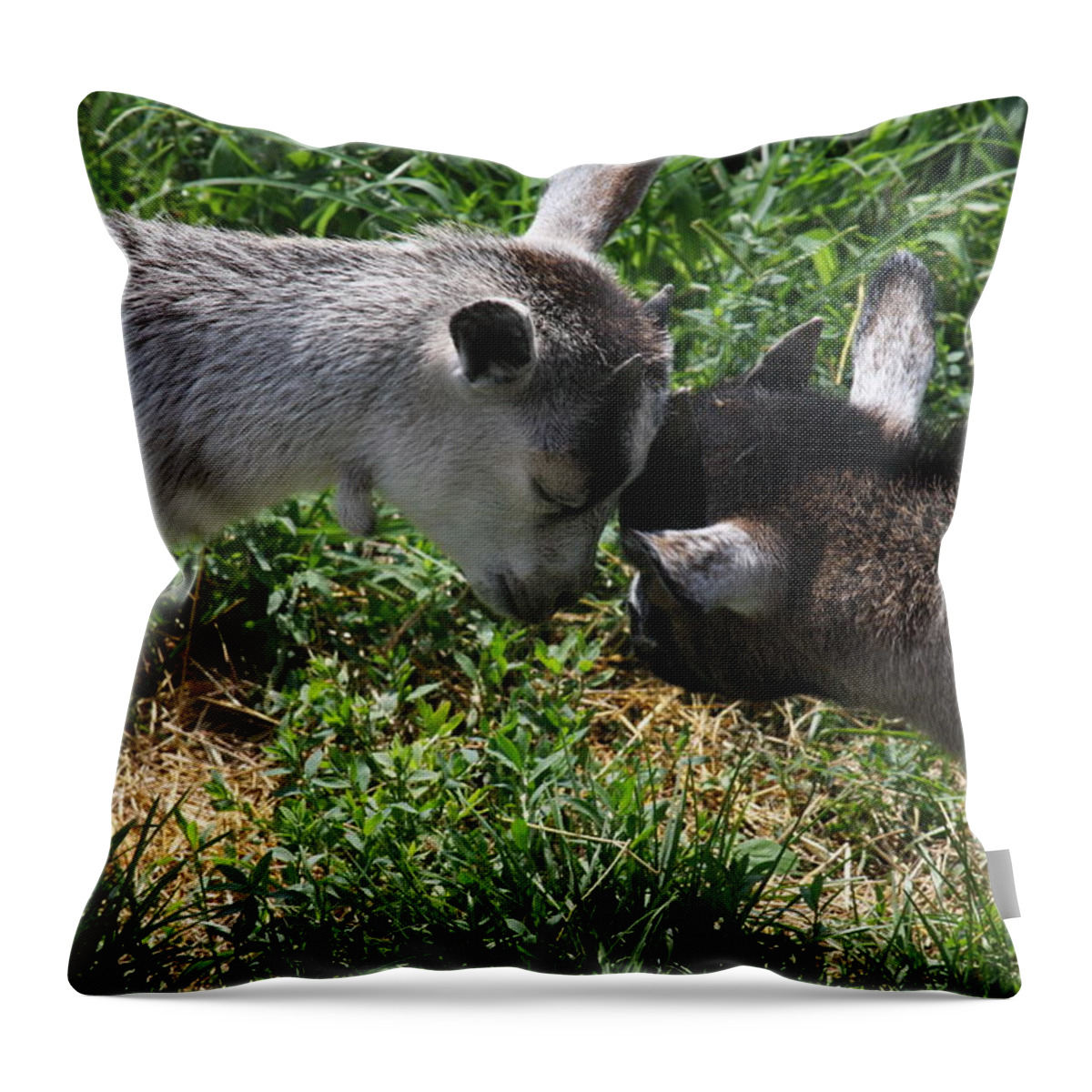 Humor Throw Pillow featuring the photograph A Wisdom of the Head? by Vadim Levin