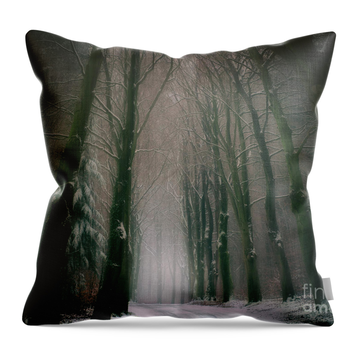 Winter Throw Pillow featuring the photograph A Woodland Fantasy by David Lichtneker