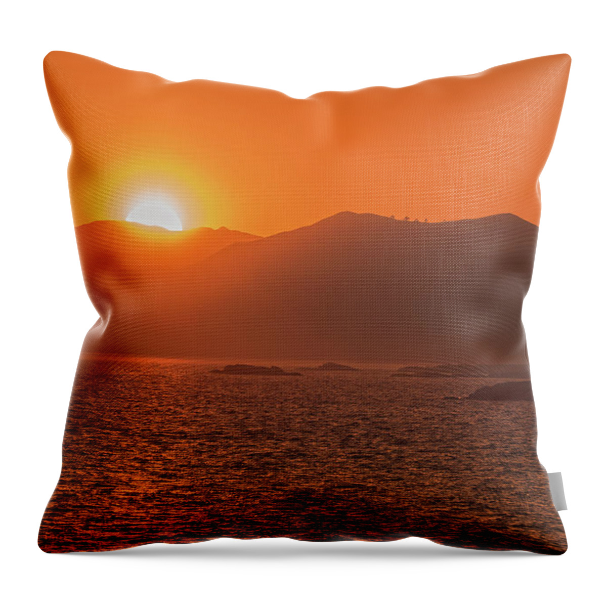 11-mile Reservoir Throw Pillow featuring the photograph A Wraith Of Smoke Shortly After A Forest Fire Is Extinguished by Bijan Pirnia