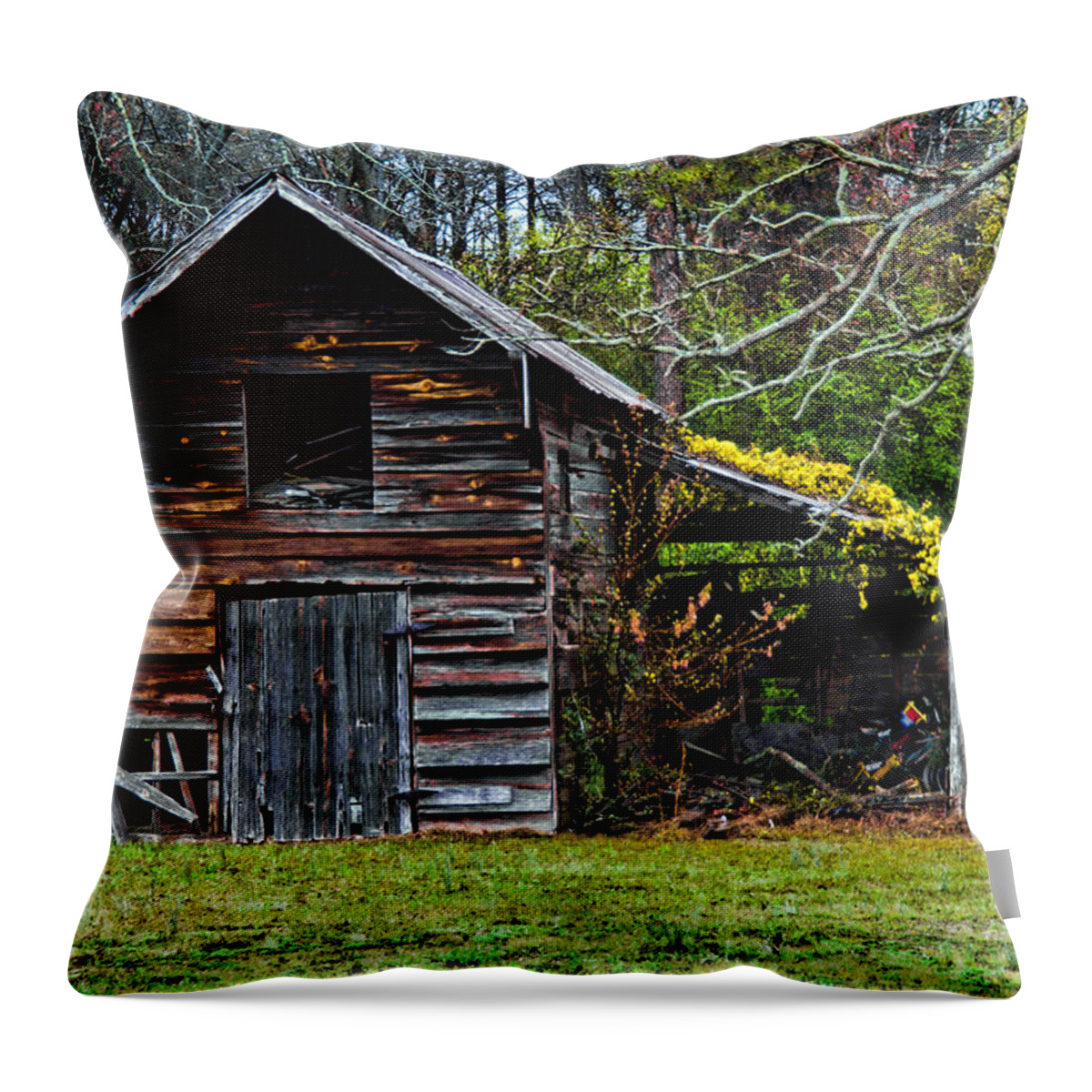 Barn Throw Pillow featuring the photograph A Yellow Cover by Christopher Holmes