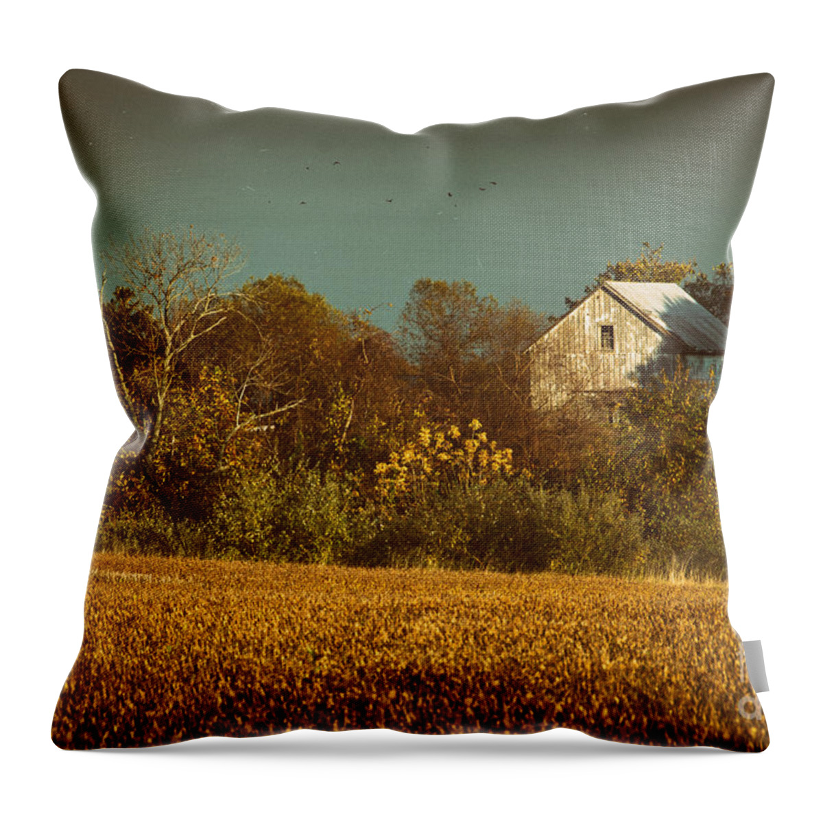 Rural Throw Pillow featuring the photograph Abandoned Barn Colorized by PIPA Fine Art - Simply Solid
