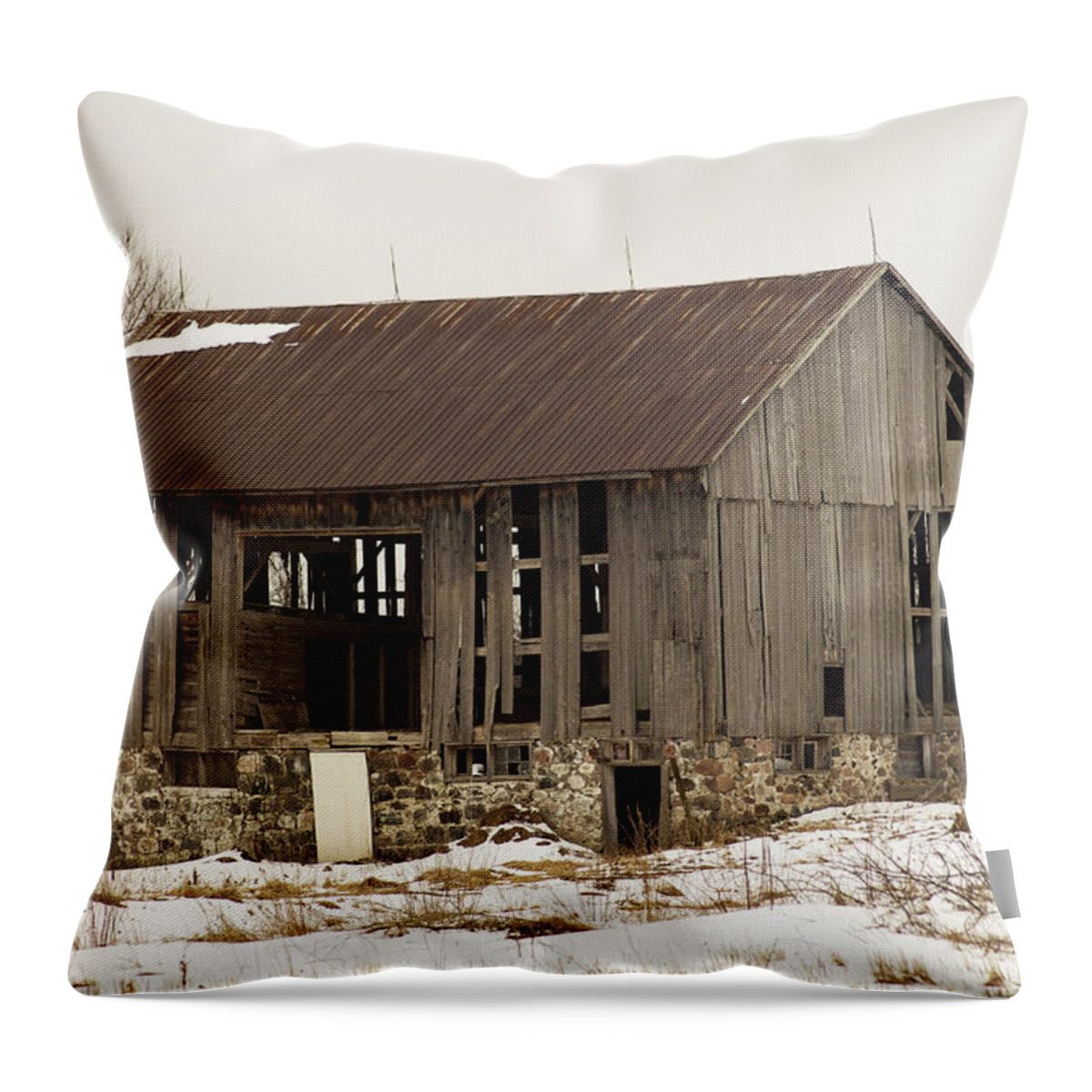 Farm Throw Pillow featuring the photograph Abandoned by Elaine Mikkelstrup