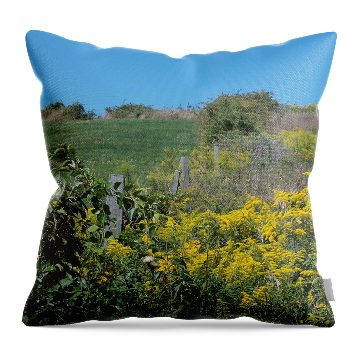 Abandoned Throw Pillow featuring the photograph Abandoned Fields 2 by Nina Kindred