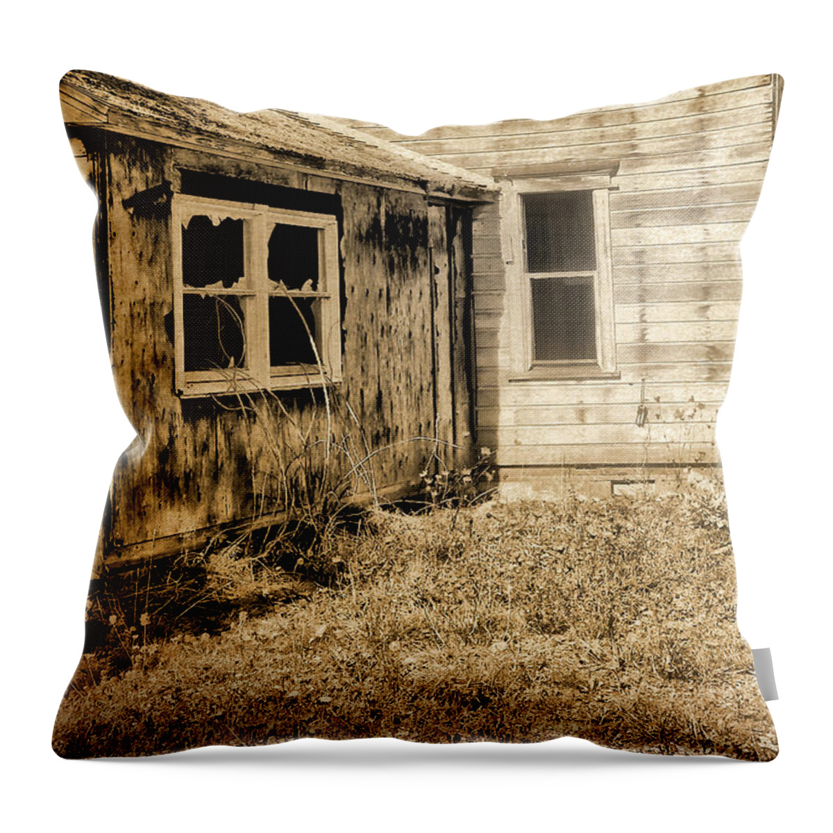 Abandoned House Throw Pillow featuring the photograph Abandoned House 3 by Bonnie Bruno