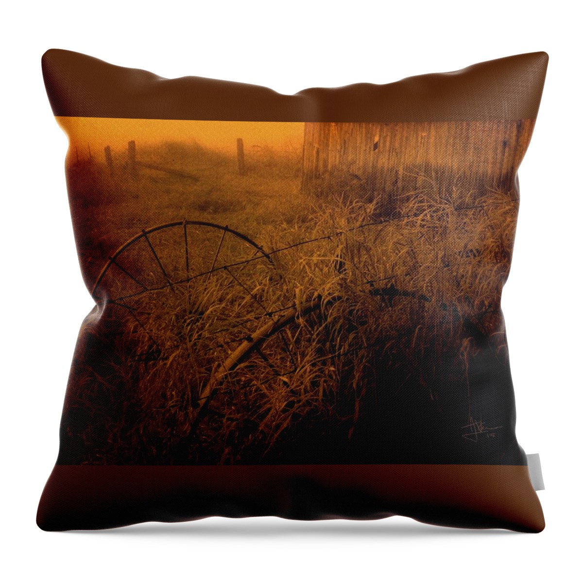 Rural Throw Pillow featuring the photograph Abandoned near Joyceville Road by Jim Vance