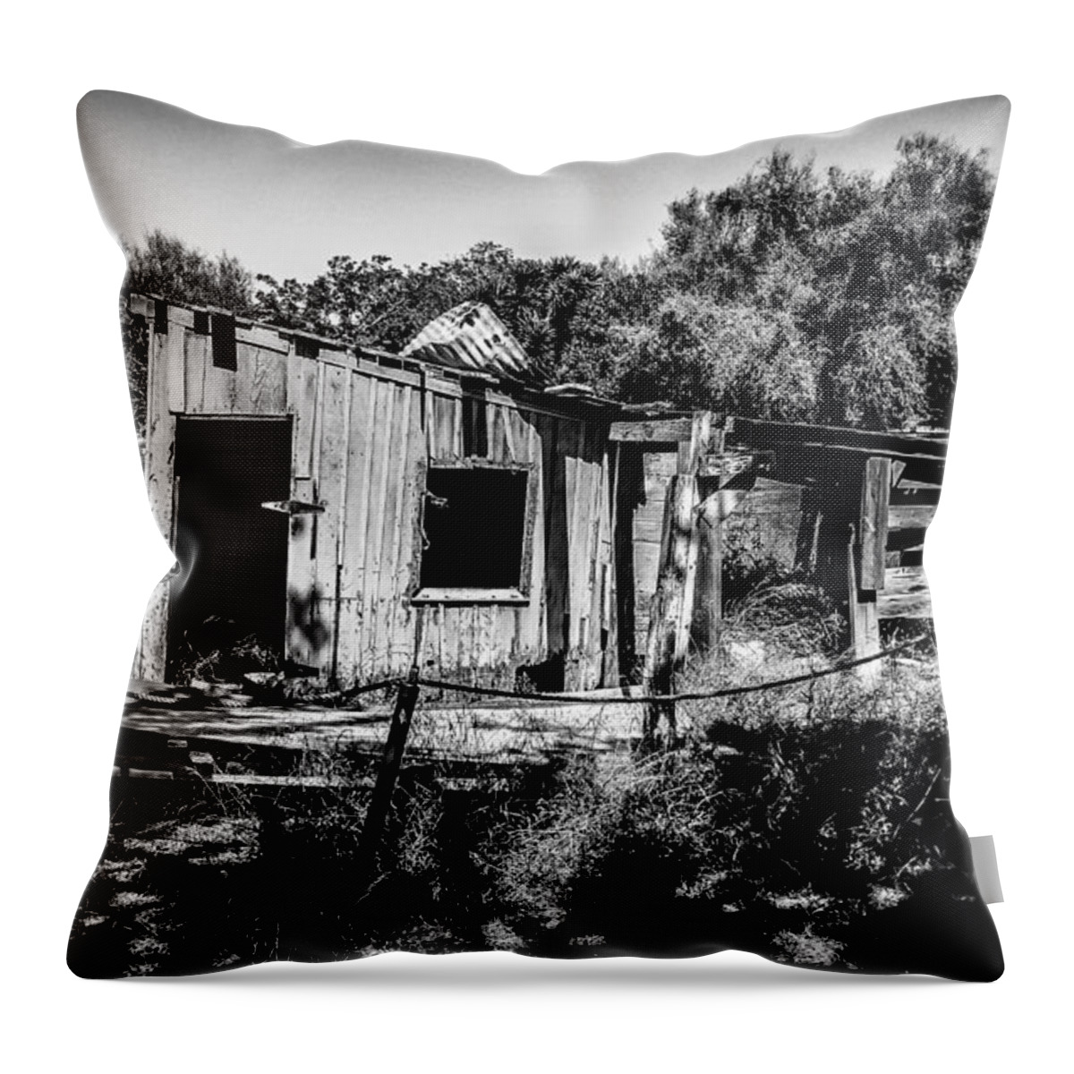 California Throw Pillow featuring the photograph Abandoned Shed by Pamela Newcomb
