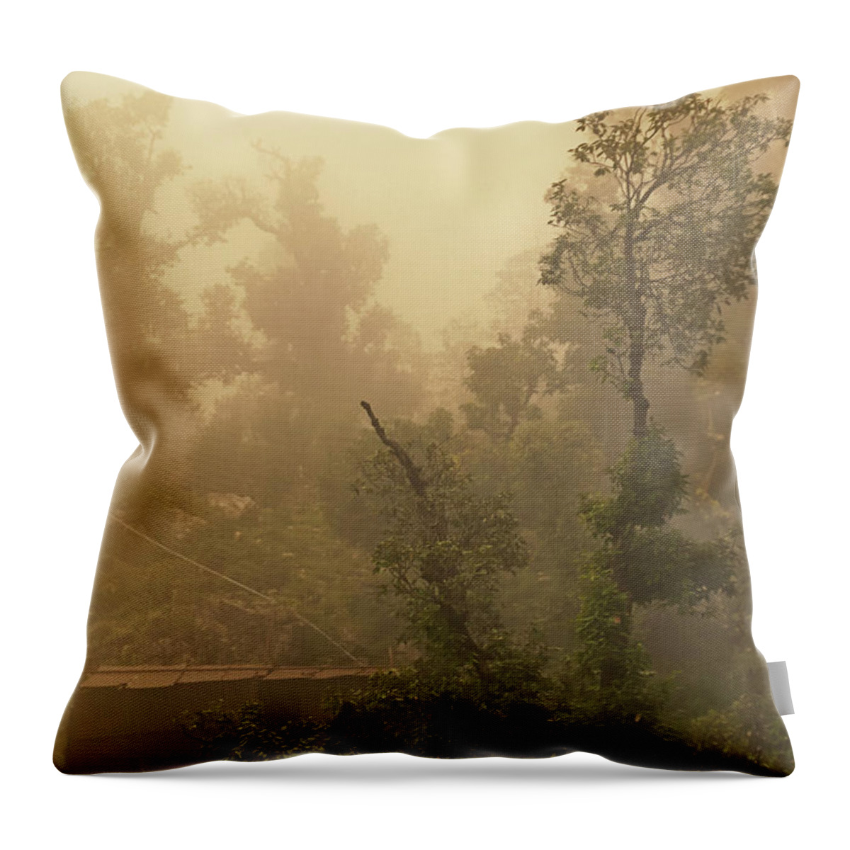 India Throw Pillow featuring the photograph Abandoned Shed by Rajiv Chopra