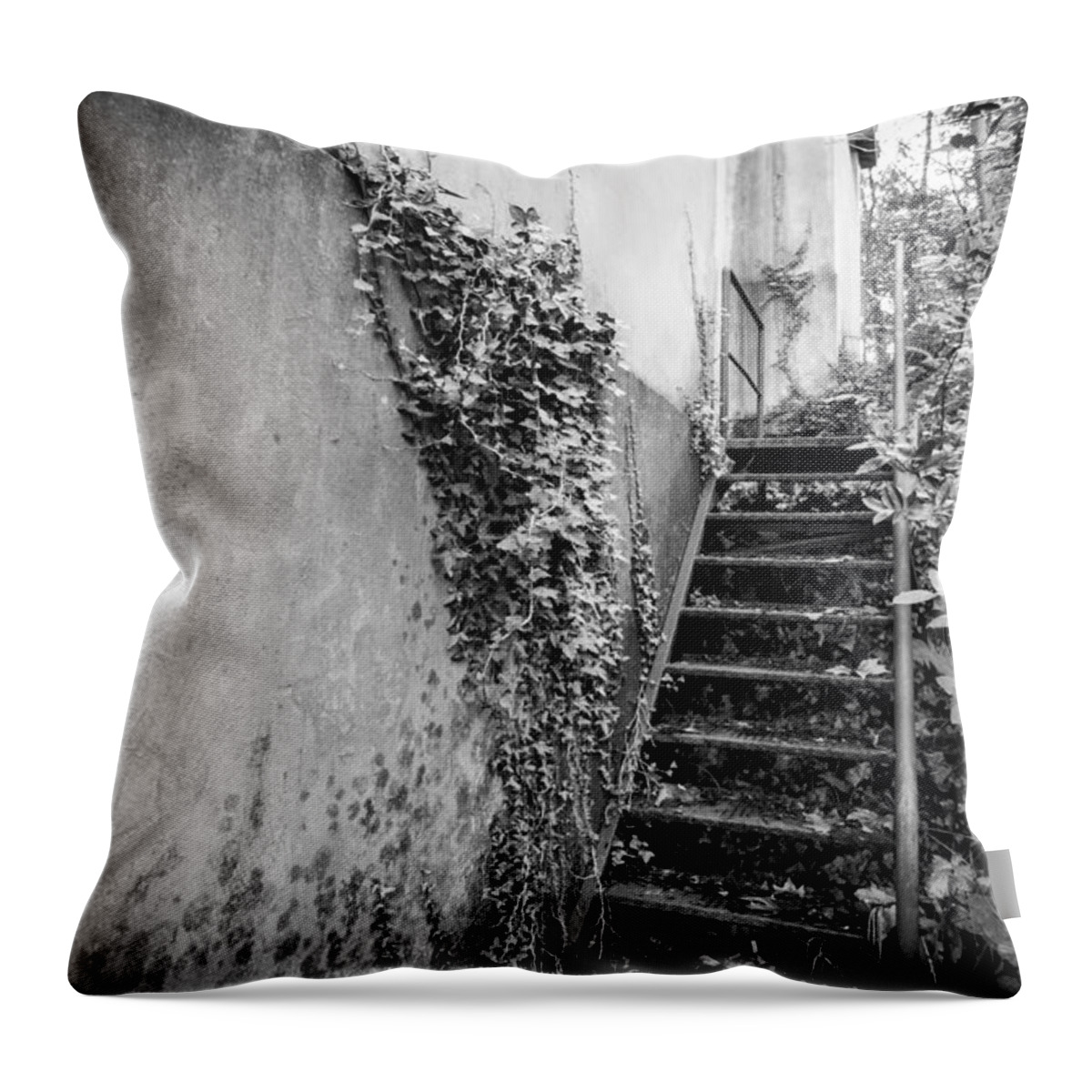 Stairs Throw Pillow featuring the photograph Abandonment and Decay by Santi Carral