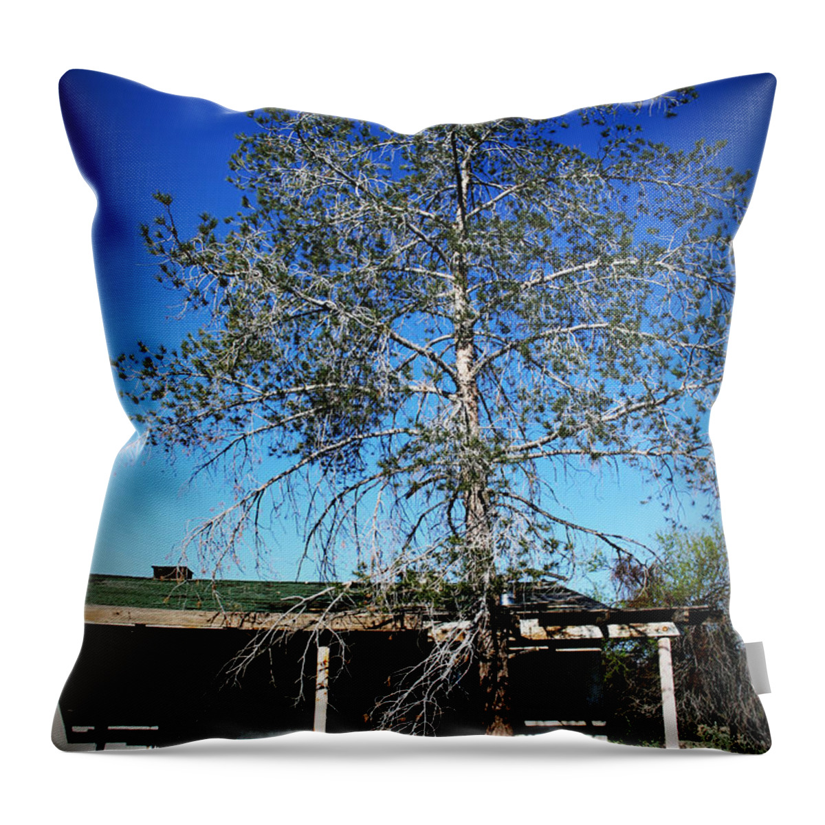 Old Throw Pillow featuring the photograph Abandonment by Charles Benavidez
