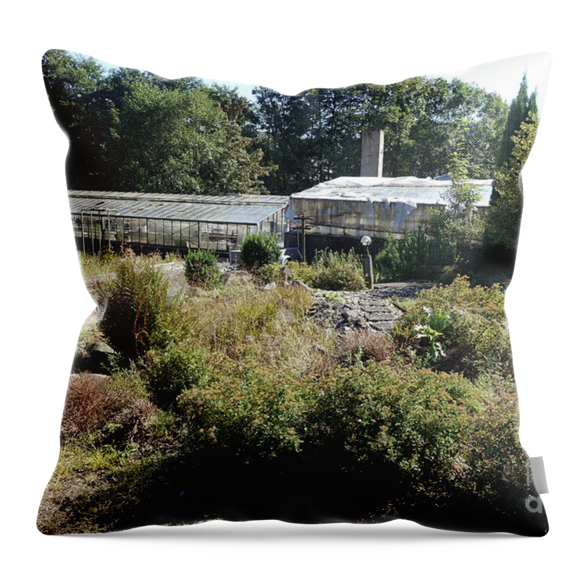 Old Horticulture Throw Pillow featuring the photograph Abanoned old horticulture by Eva-Maria Di Bella