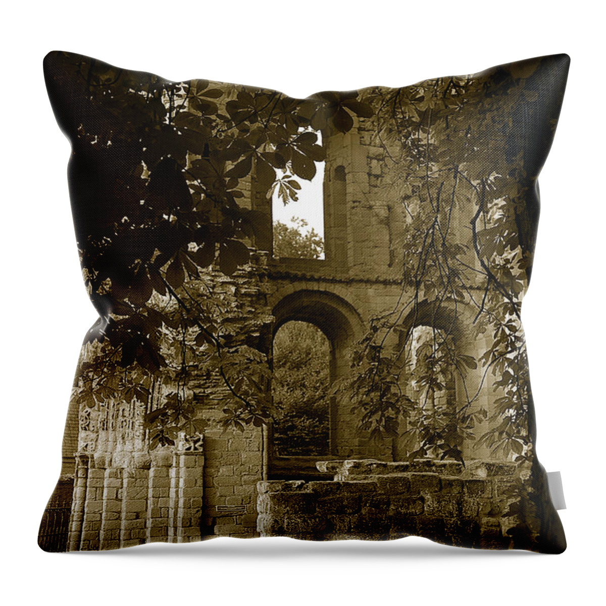 Abbey Throw Pillow featuring the photograph Abbey in Kelso. by Elena Perelman
