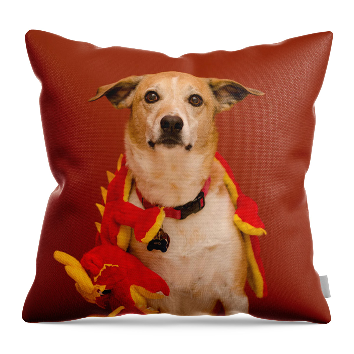 Pet Angel Photography Throw Pillow featuring the photograph Abbie and a Dragon by Irina ArchAngelSkaya