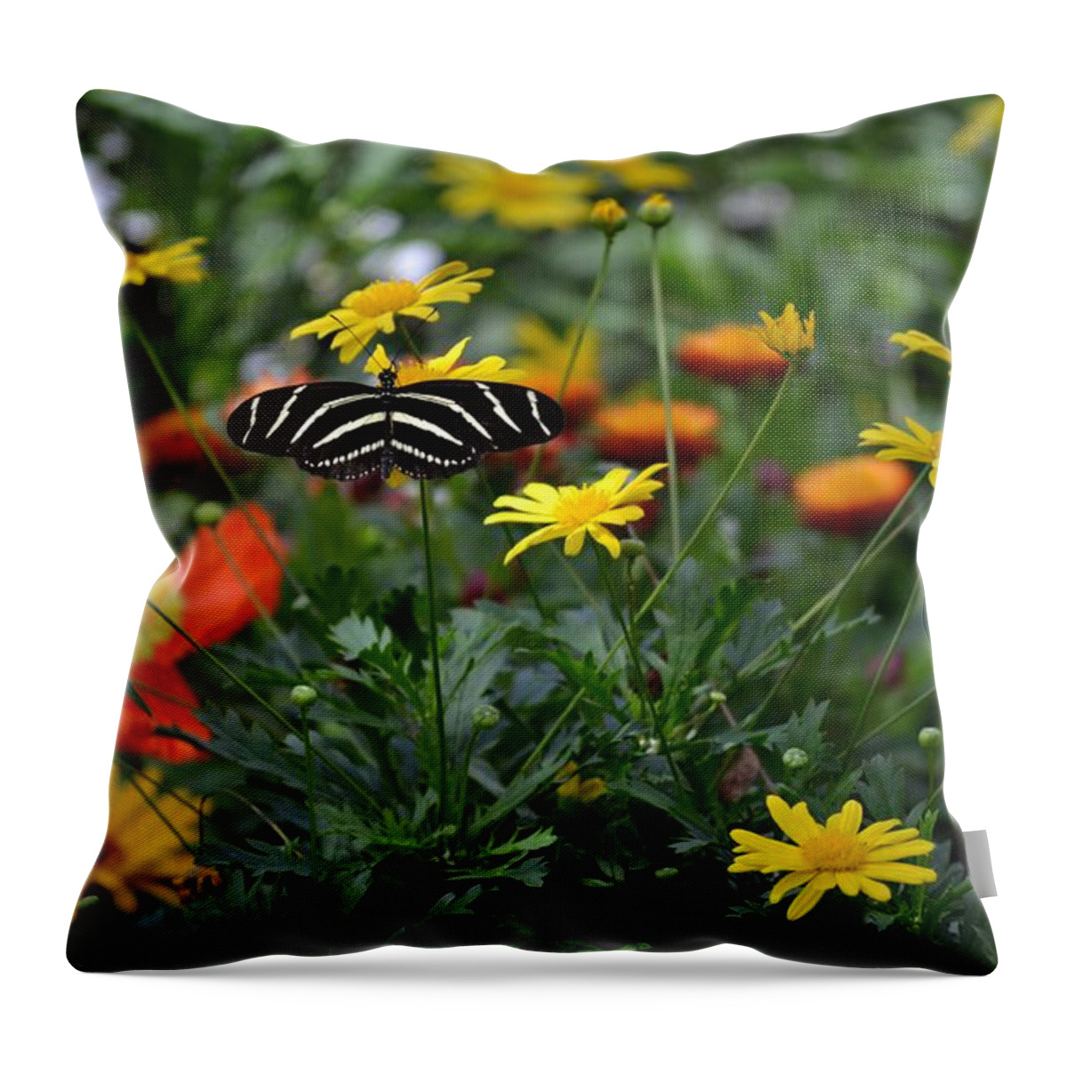 Zebra Heliconian Throw Pillow featuring the photograph Abigail by Carolyn Mickulas