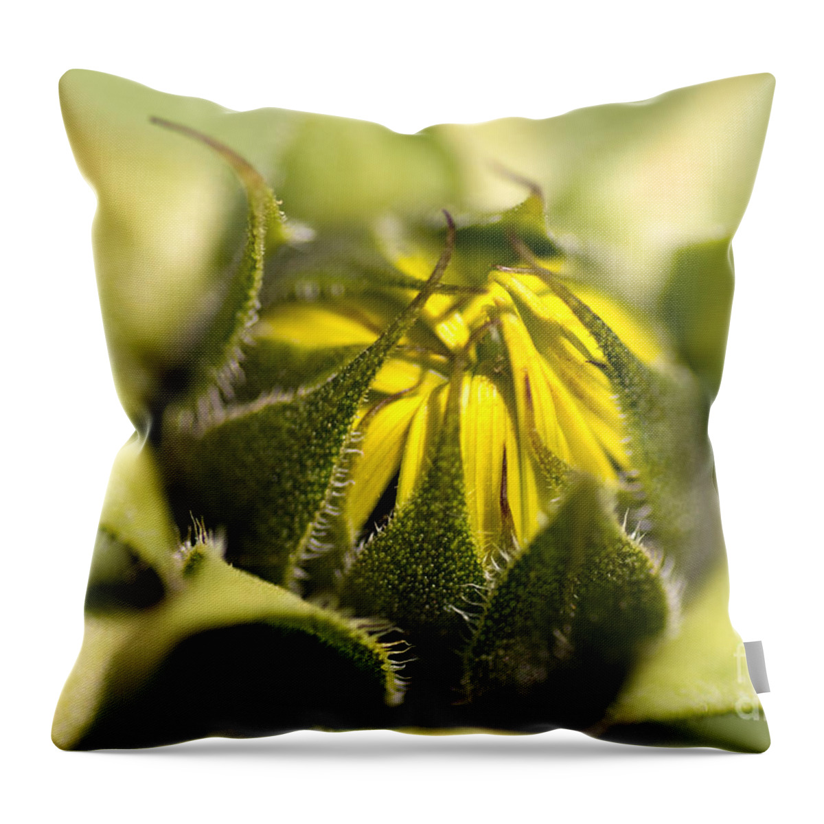 Flower Throw Pillow featuring the photograph About to Burst by Venetta Archer
