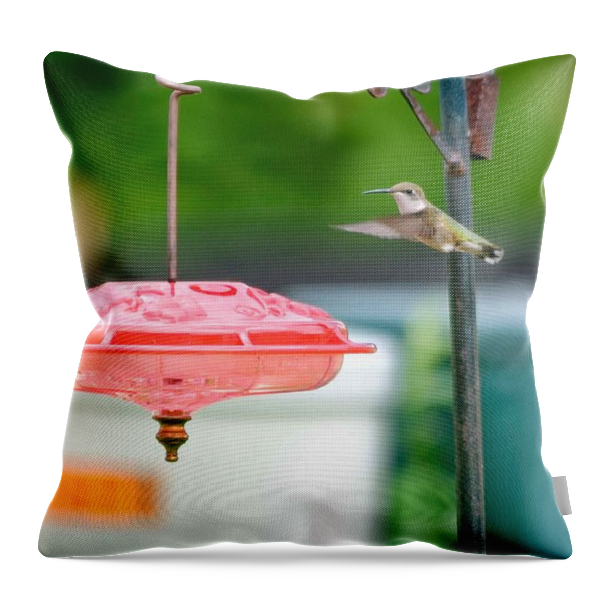 Hummingbird Throw Pillow featuring the photograph About to land by Peter Ponzio