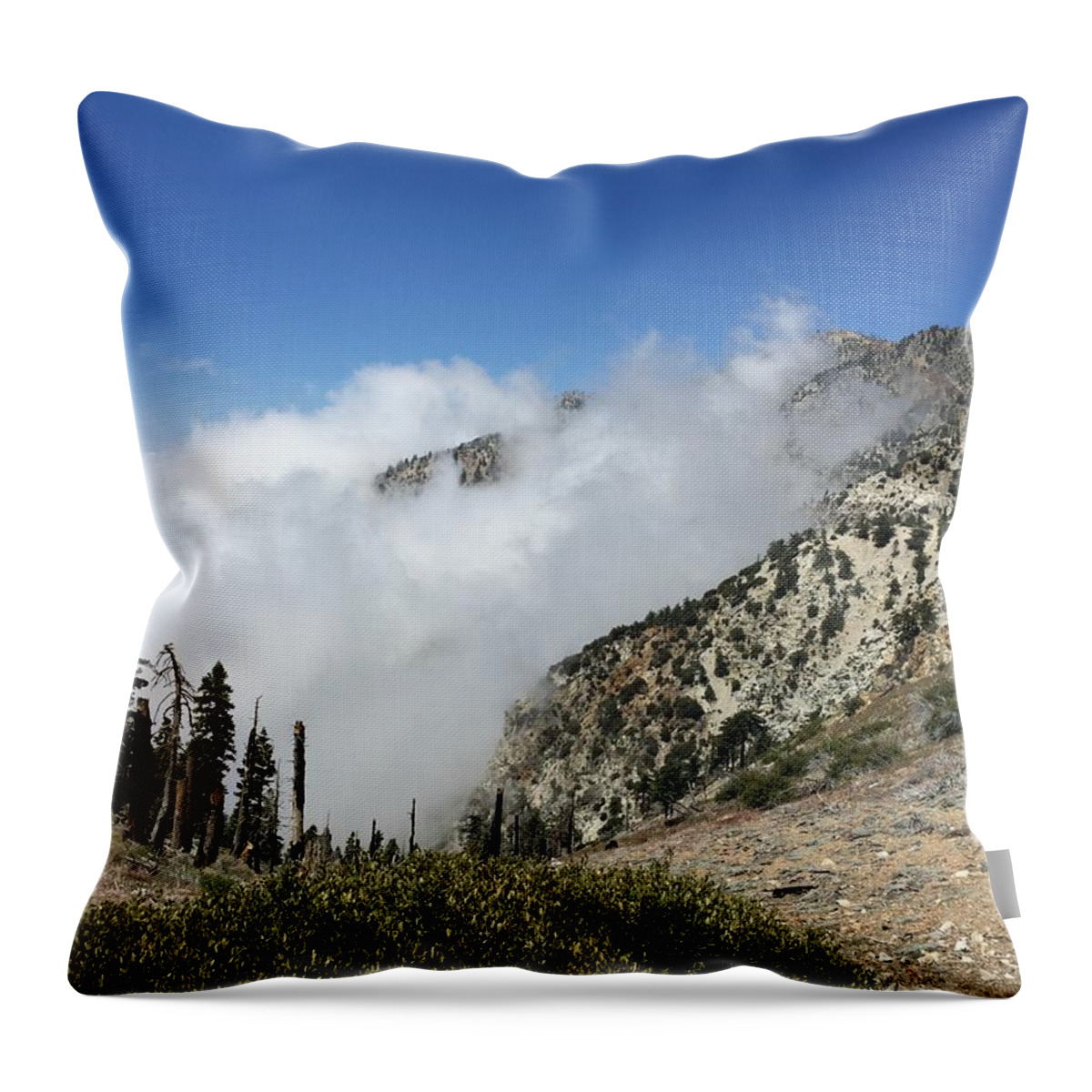 Clouds Throw Pillow featuring the photograph Above the Clouds by Ed Clark