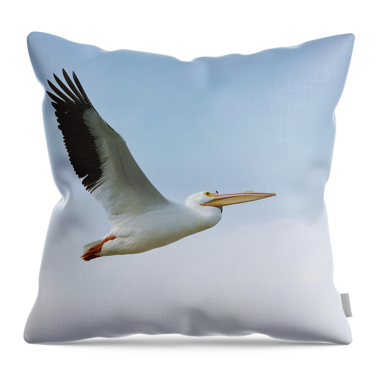 American White Pelican Throw Pillow featuring the photograph Above The Clouds by Fraida Gutovich