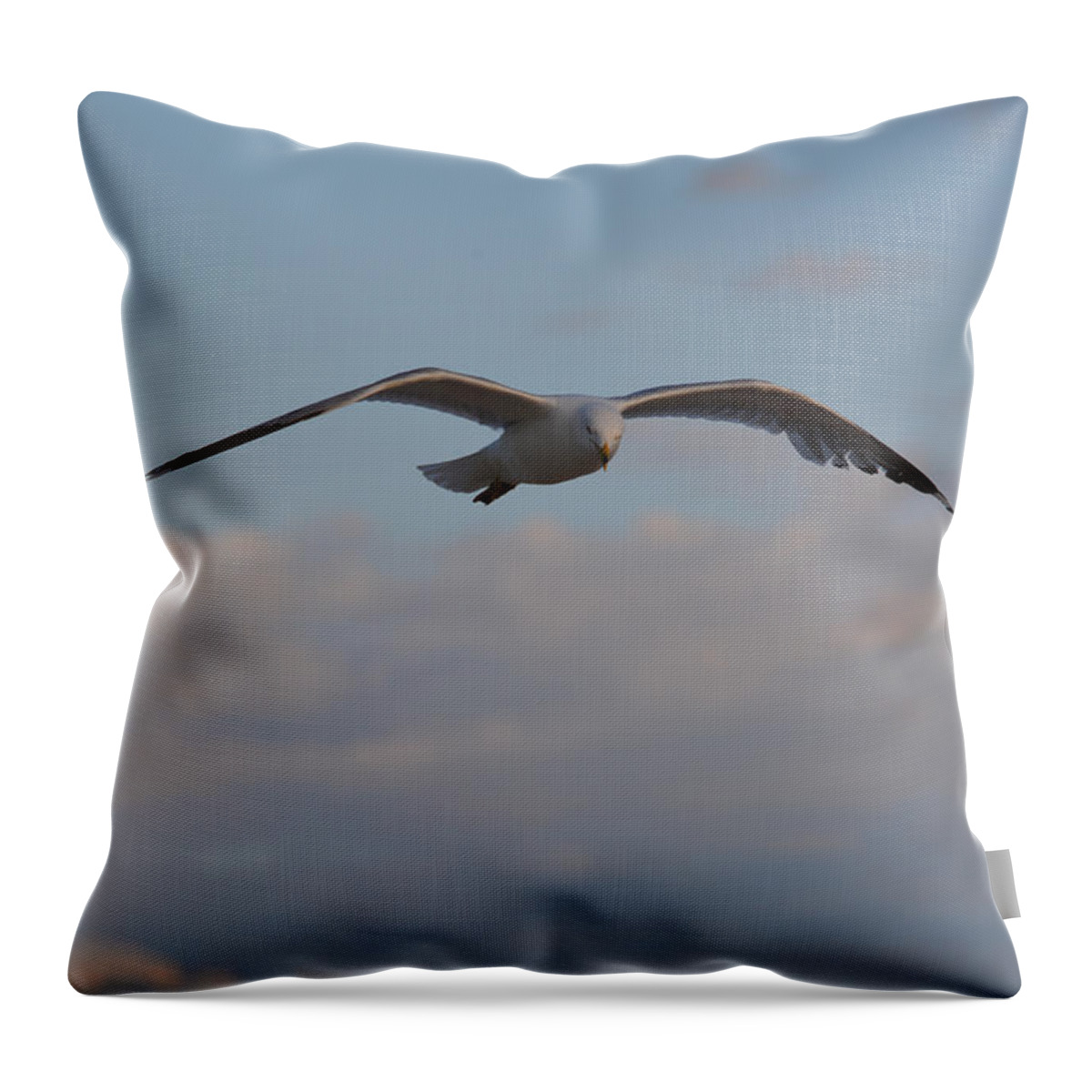 Seagull Throw Pillow featuring the photograph Above the Clouds by Richard Andrews