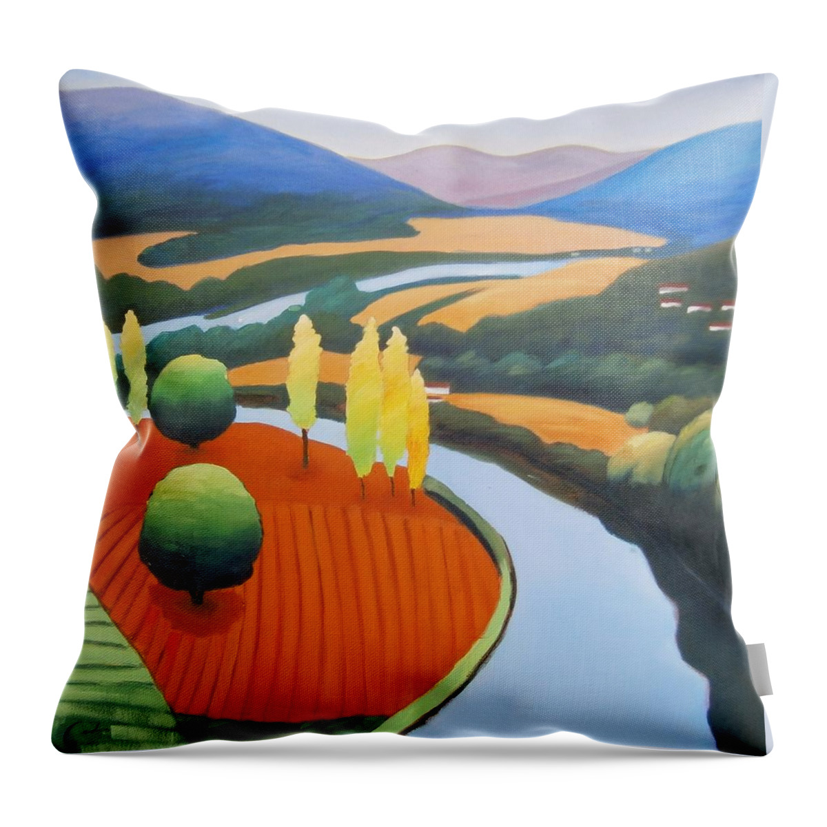 Lot River Throw Pillow featuring the painting Above the Lot Square by Gary Coleman