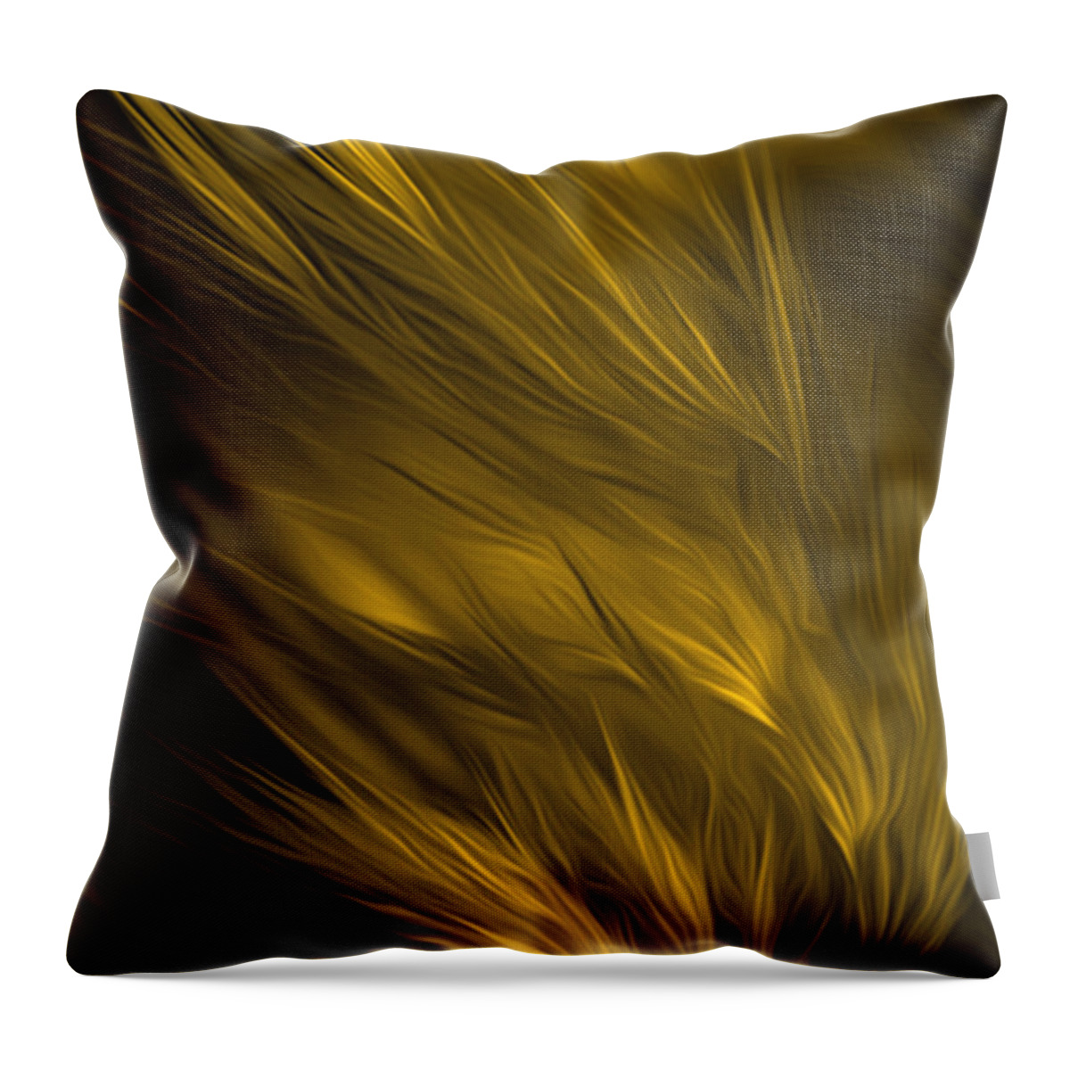 Rgiada Throw Pillow featuring the digital art Abstract art - Feathered path gold by RGiada by Giada Rossi
