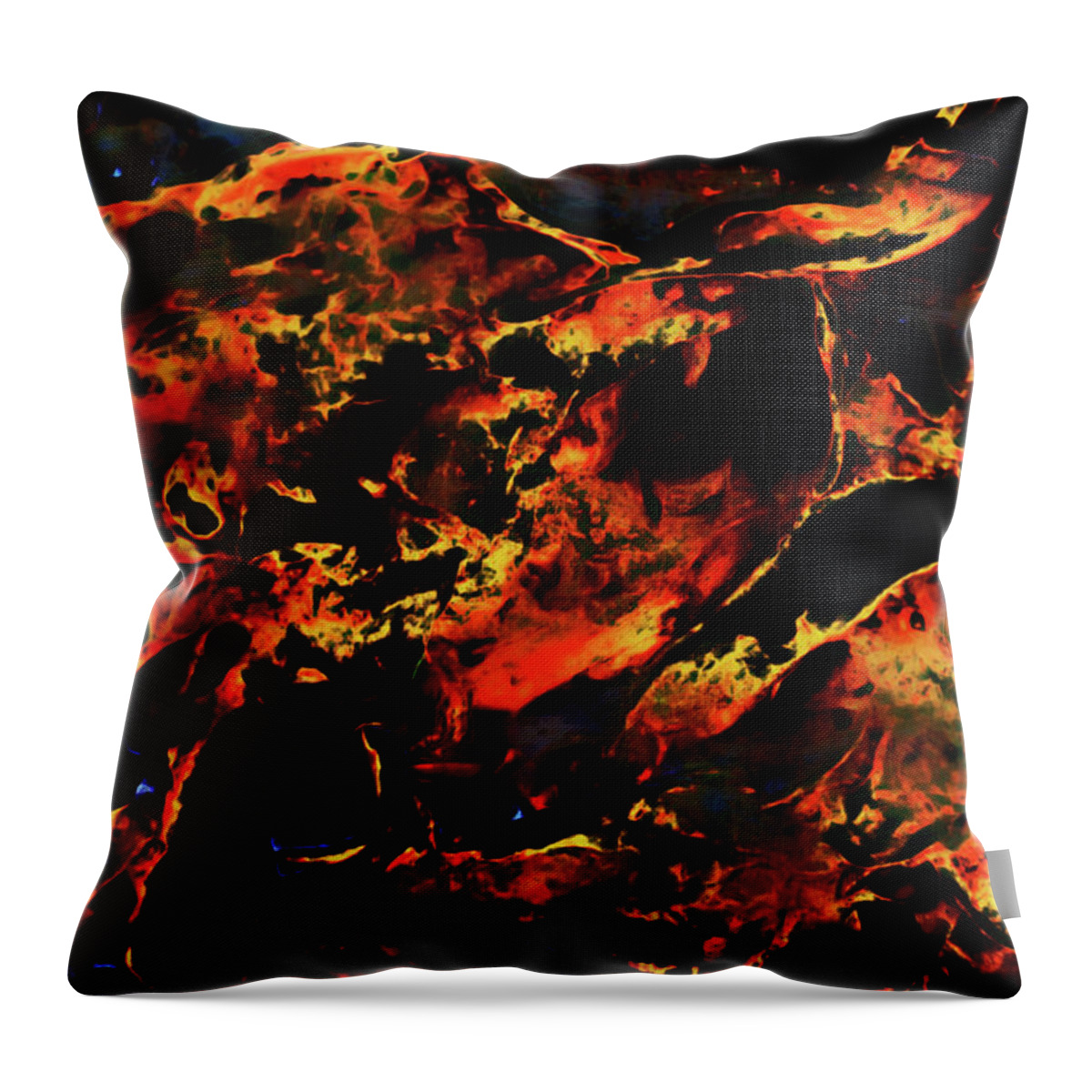 Abstract Throw Pillow featuring the photograph Abstract Coquina by Gina O'Brien