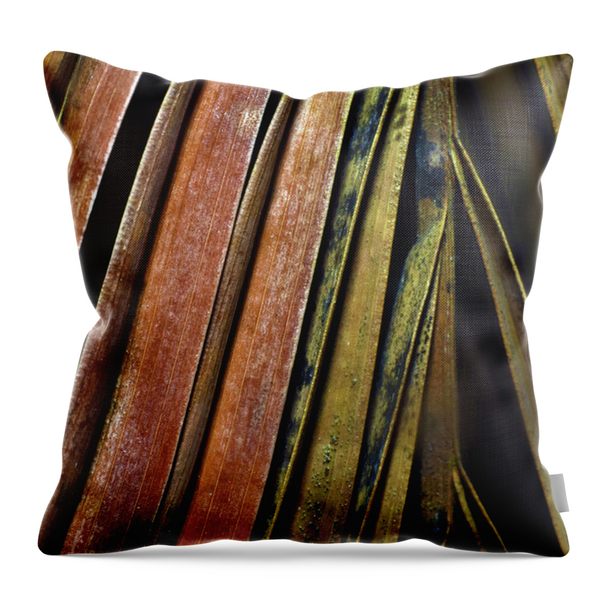 Photograph Throw Pillow featuring the photograph Abstract Palm Frond by Larah McElroy