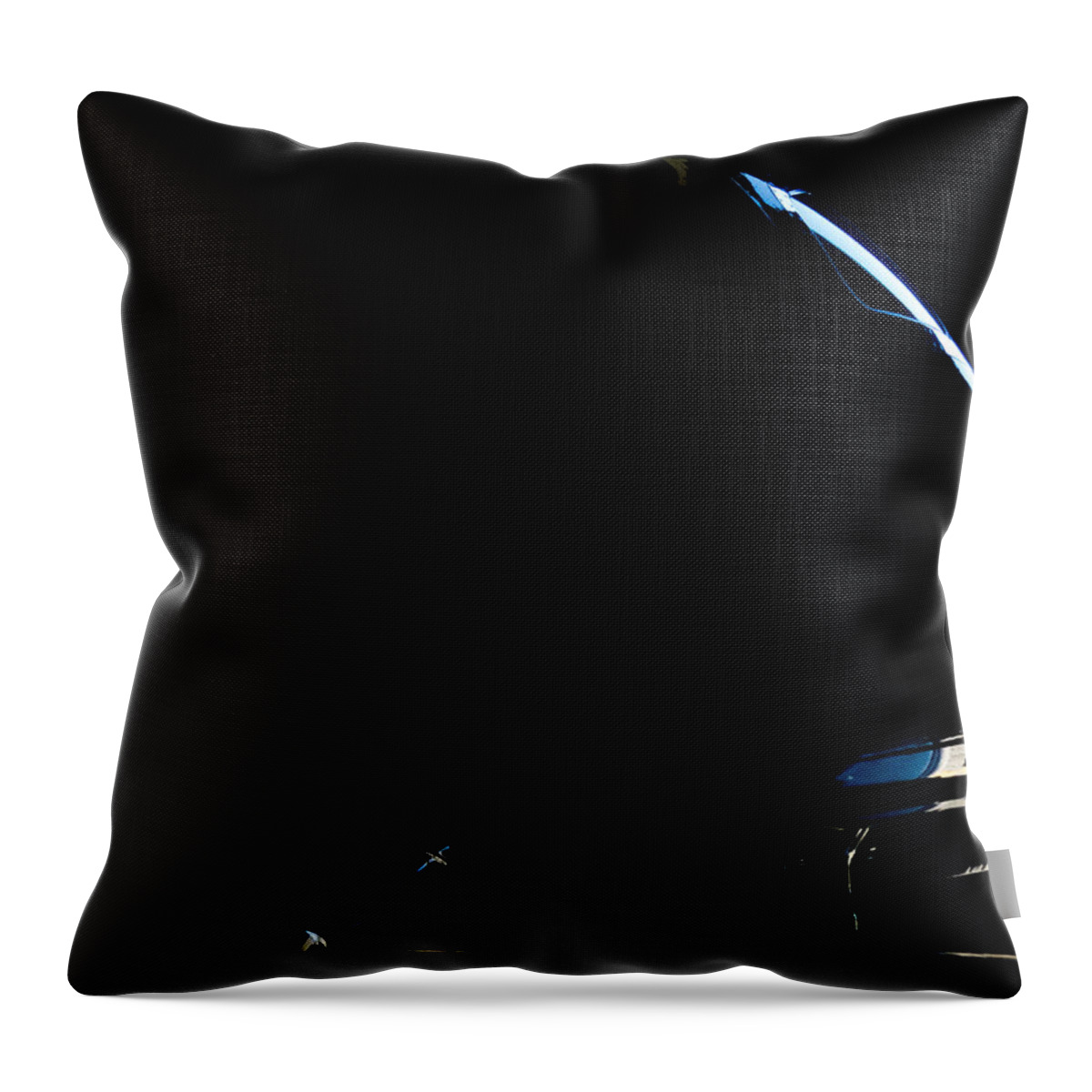 Embraer Throw Pillow featuring the photograph Abstract Phenon by Paul Job