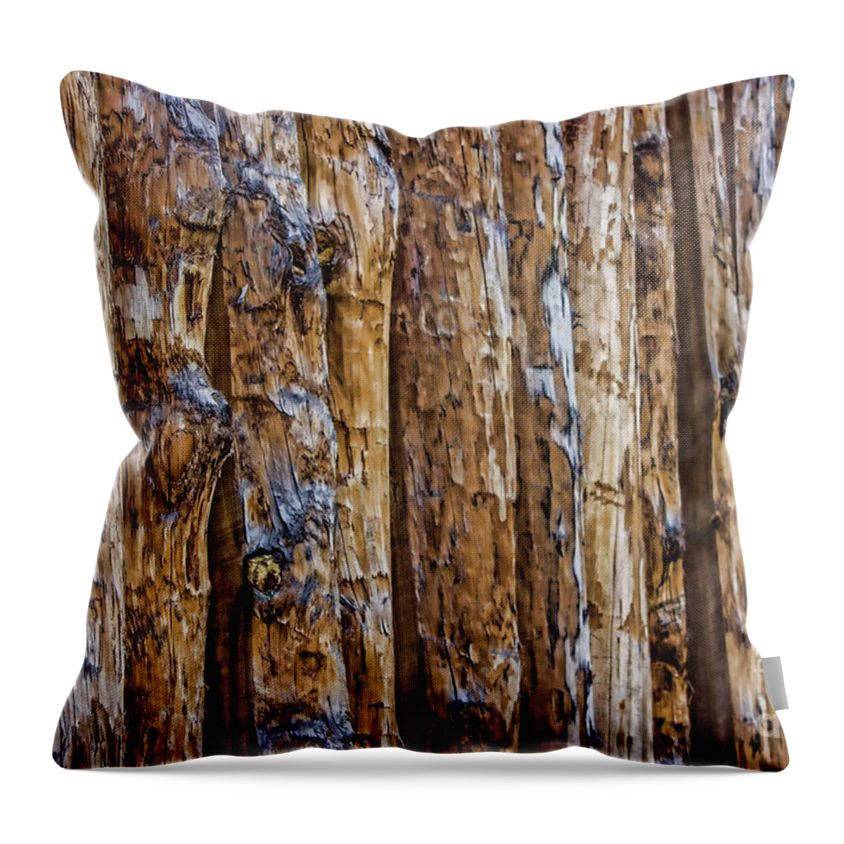 Posts Throw Pillow featuring the photograph Abstract Posts by Roberta Byram