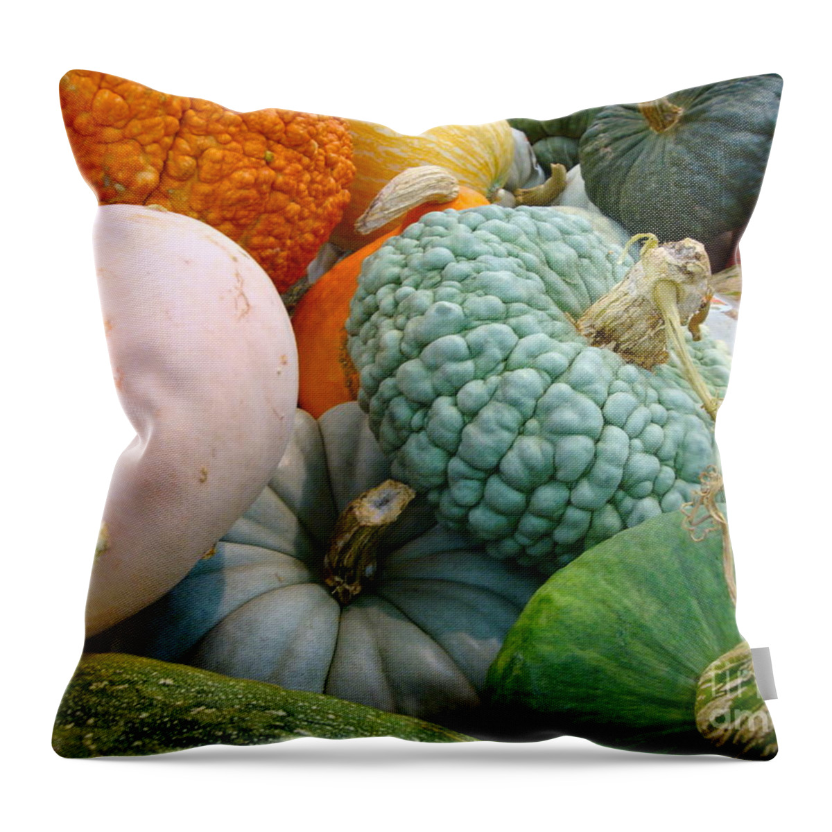 Cathy Dee Janes Throw Pillow featuring the photograph Abundant Harvest by Cathy Dee Janes