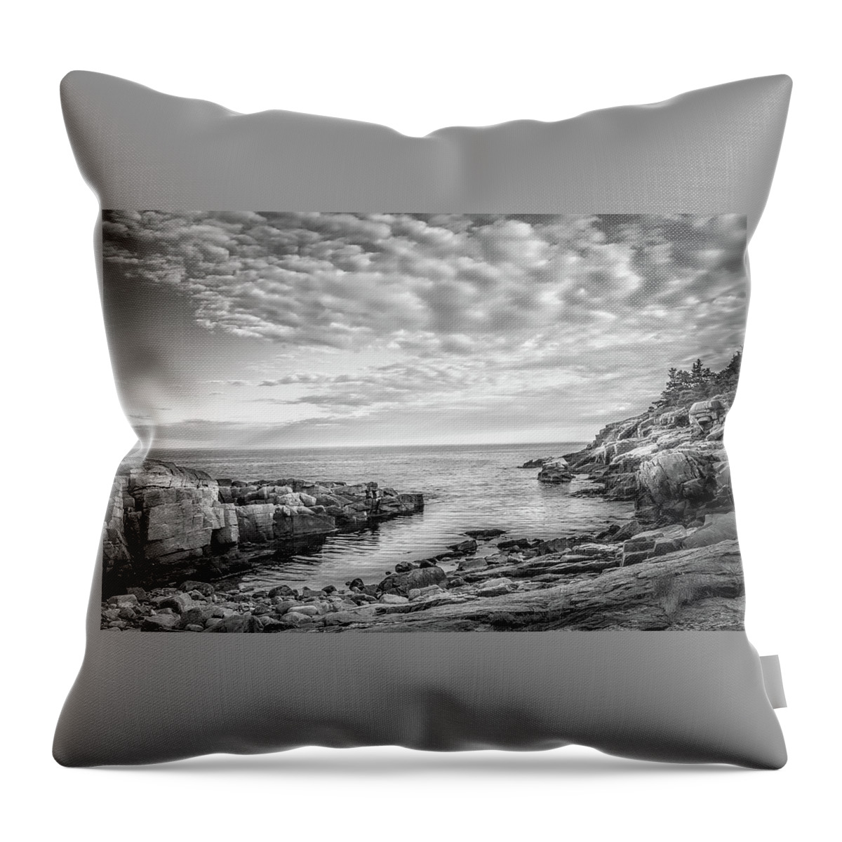 Black & White Throw Pillow featuring the photograph Acadia Coast by Brian Caldwell