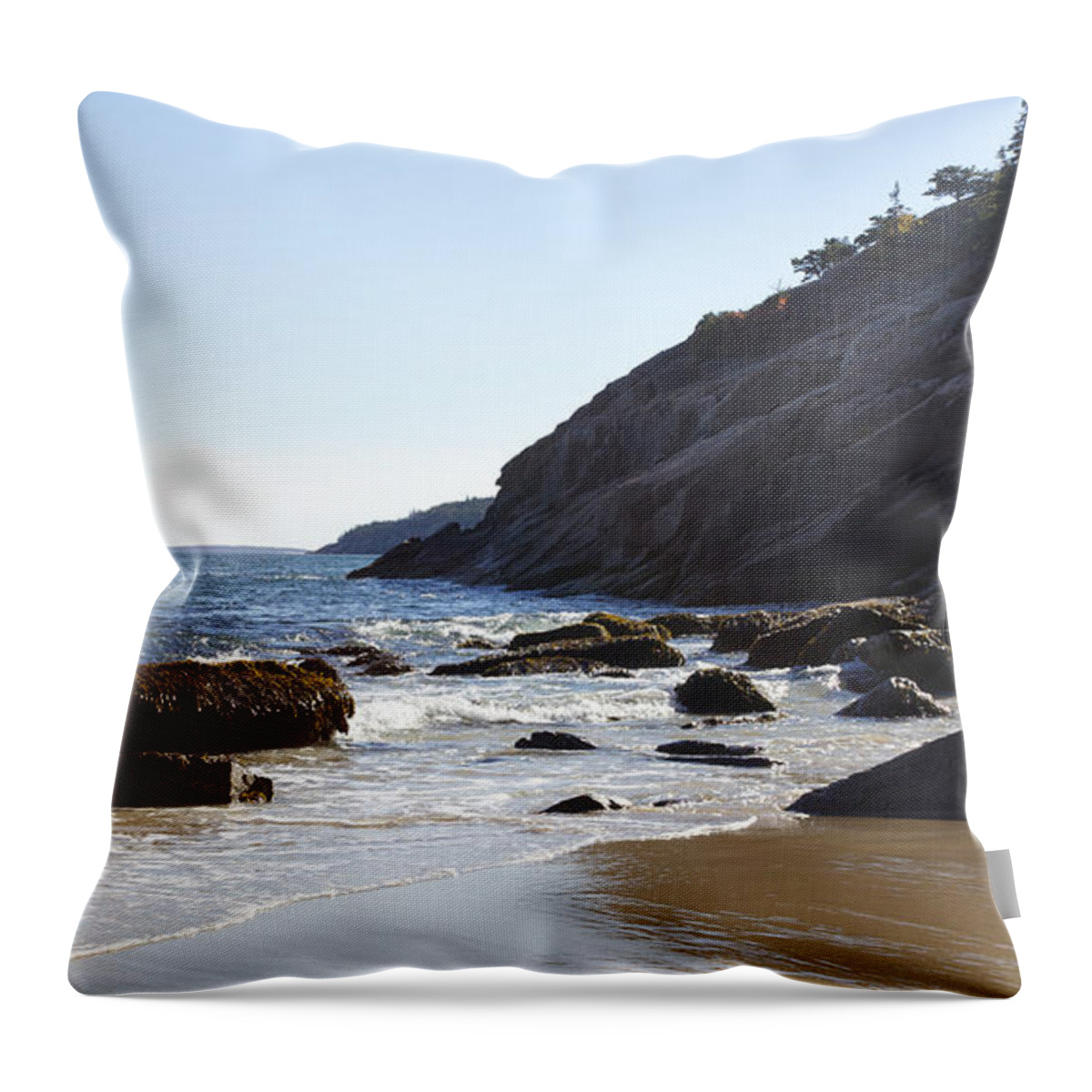  Throw Pillow featuring the photograph Acadia National Park #3 by John Daly