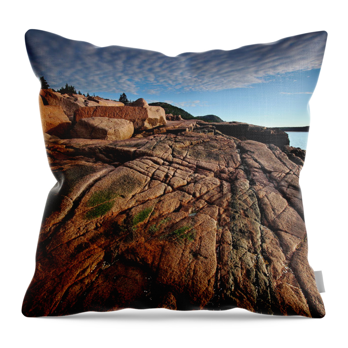 Acadia Throw Pillow featuring the photograph Acadia Rocks by Neil Shapiro