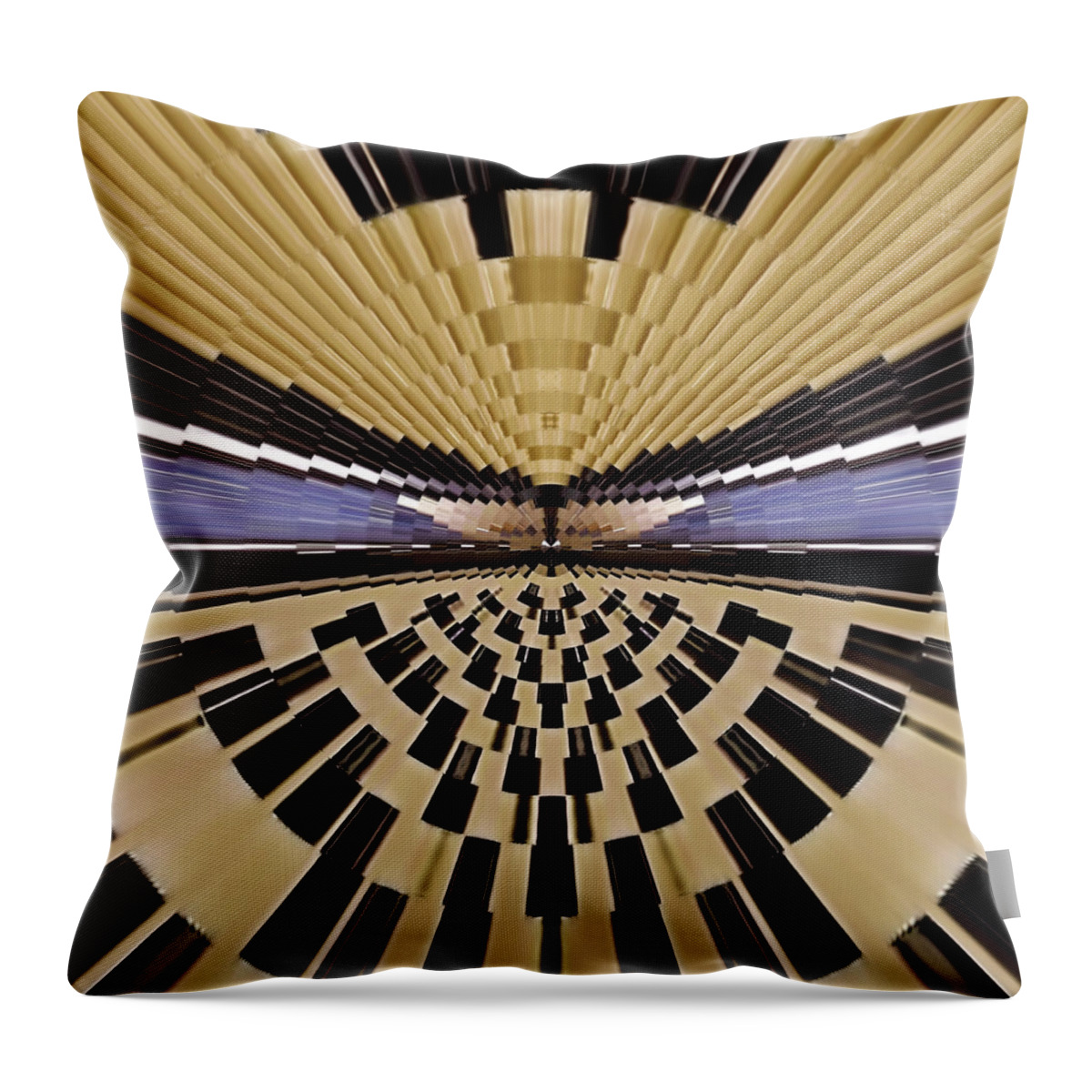 Accordion Deco Throw Pillow featuring the photograph Accordion Deco by James Stoshak