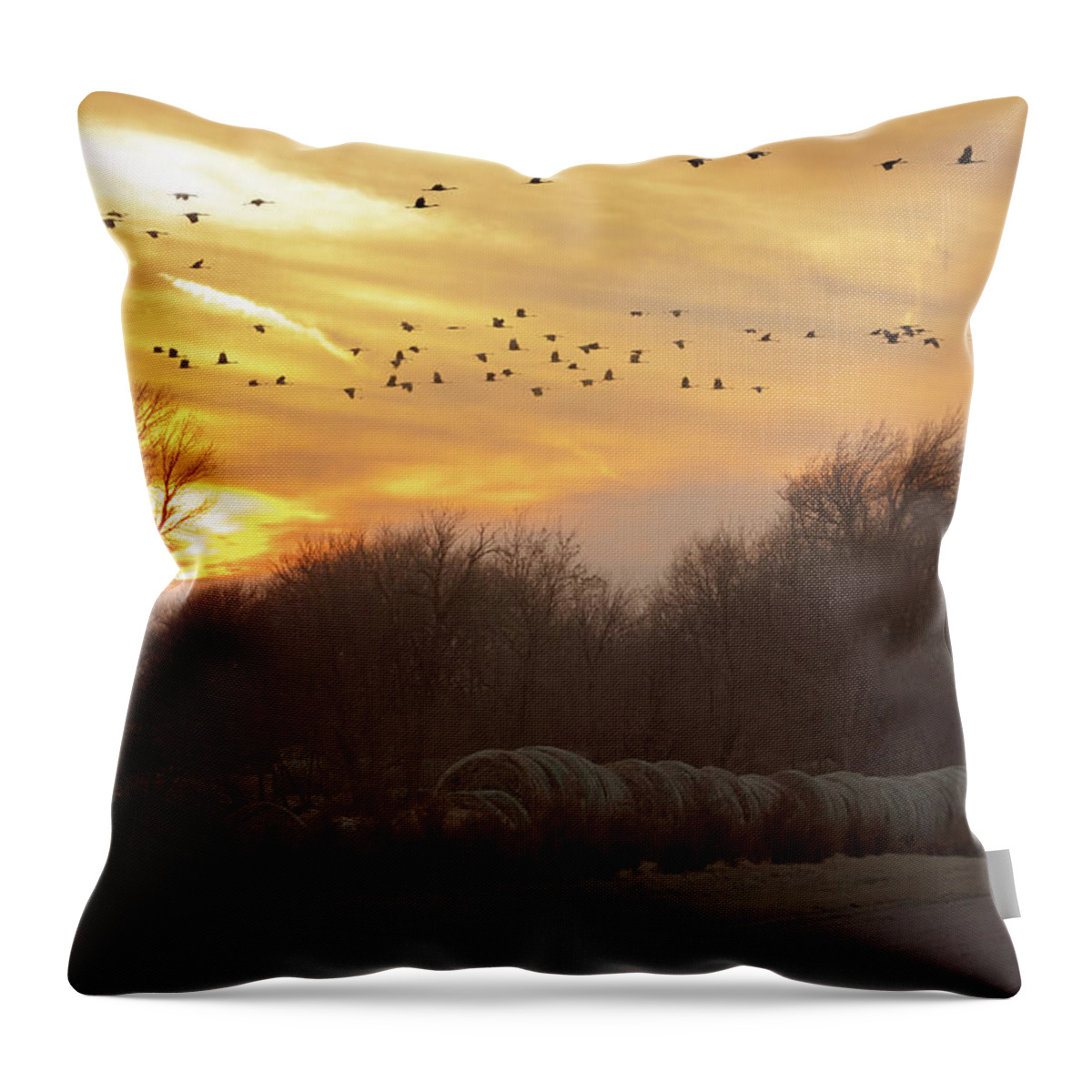 Sandhill Cranes Throw Pillow featuring the photograph Across the Sky by Susan Rissi Tregoning
