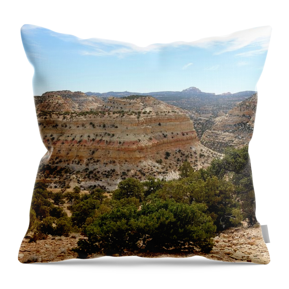 Utah Throw Pillow featuring the photograph Across Utah by Christy Pooschke