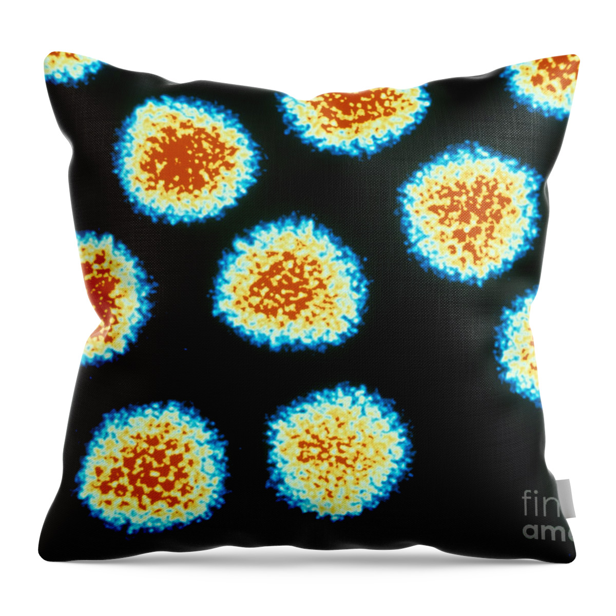 Medical Throw Pillow featuring the photograph Adenovirus Tem by Omikron