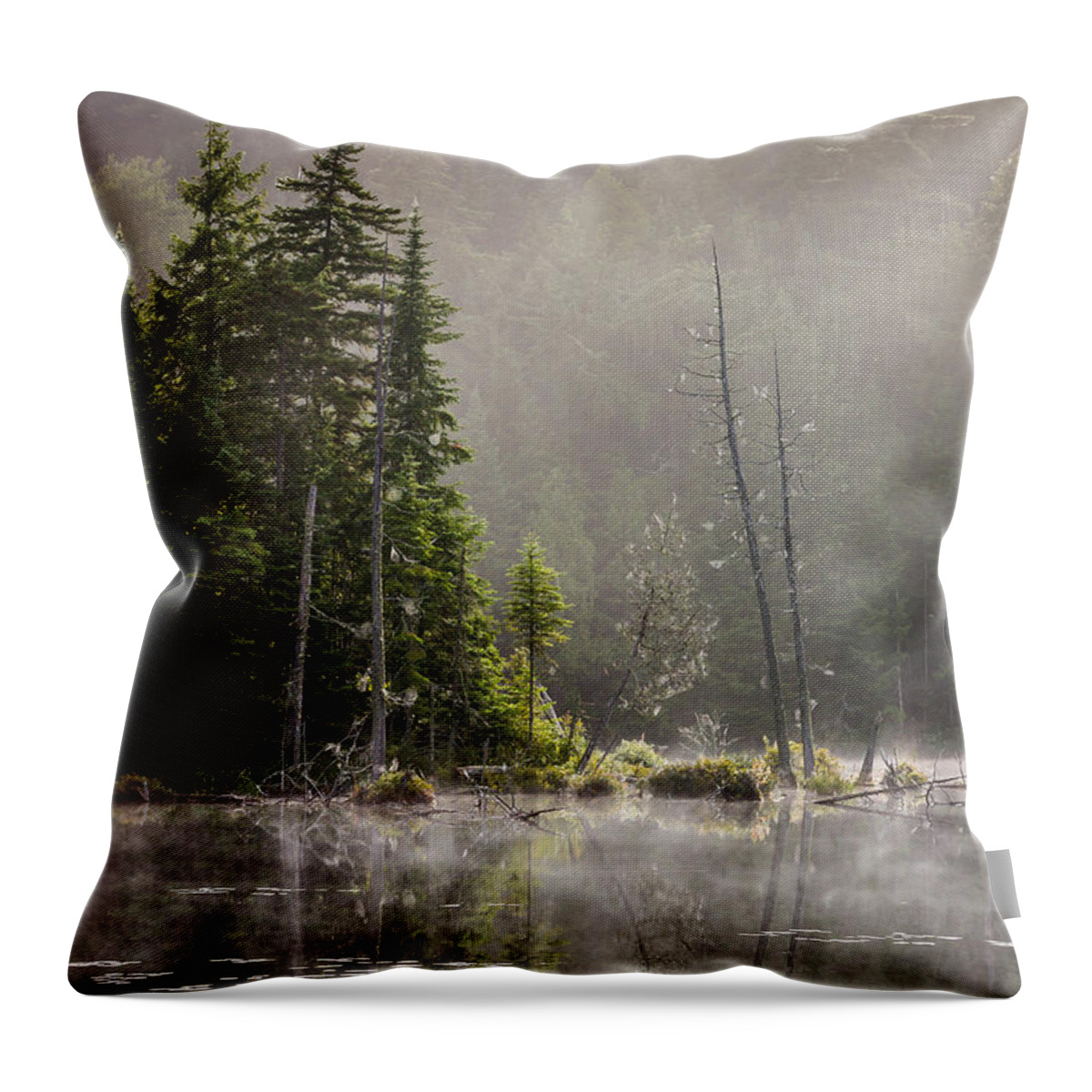 Art Throw Pillow featuring the photograph Adirondack Dream by Gary Migues
