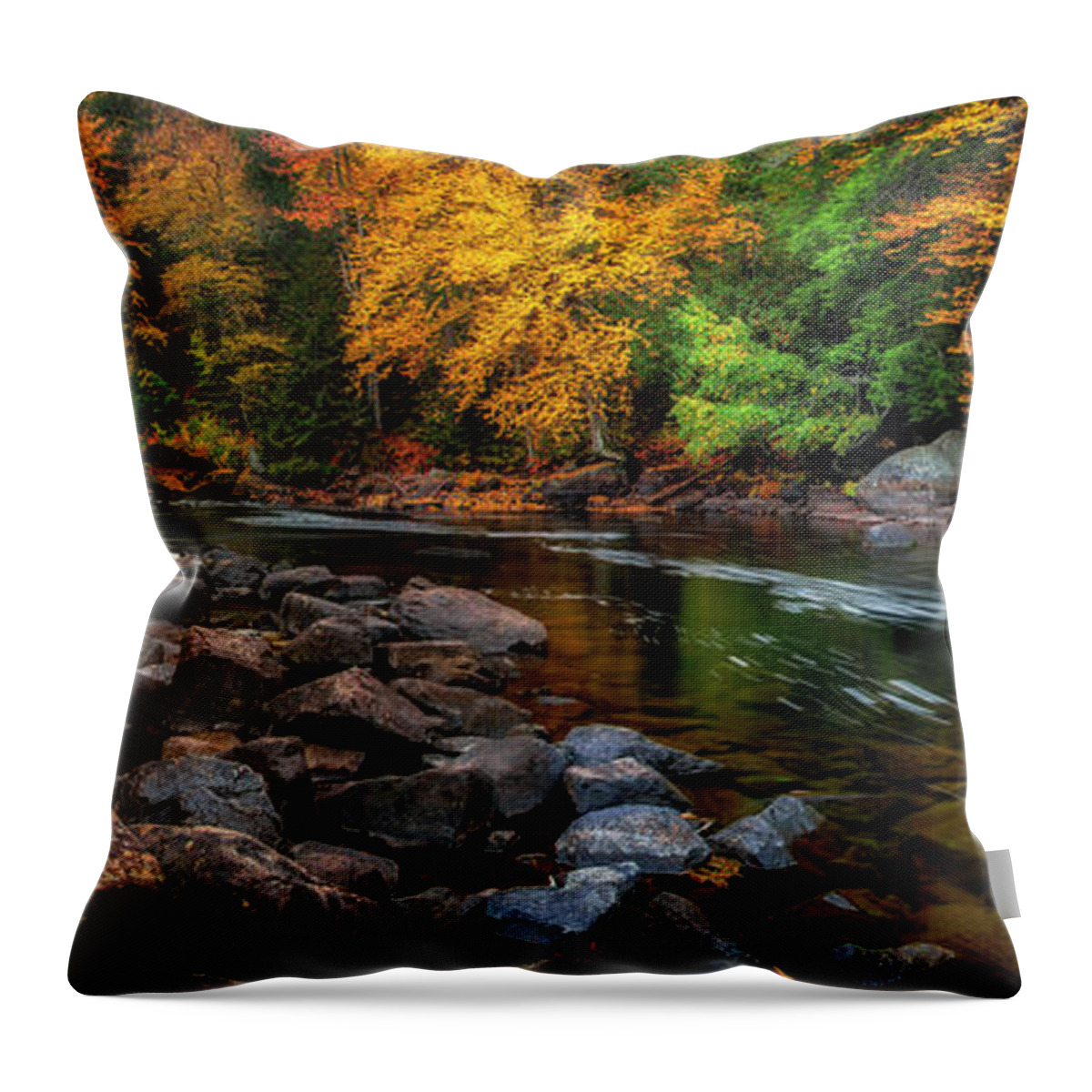 Buttermilk Falls Throw Pillow featuring the photograph Adirondacks Buttermilk Falls by Mark Papke