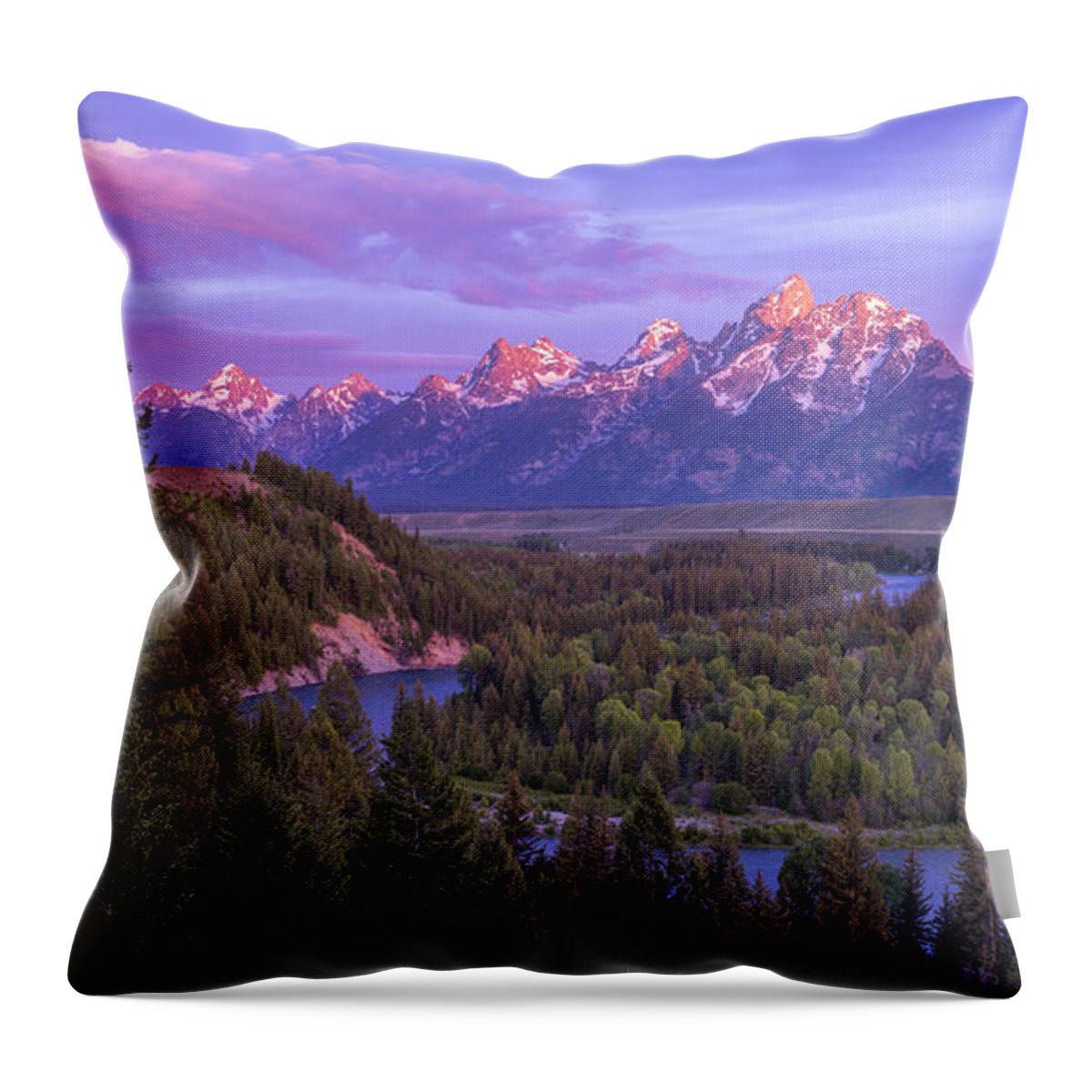 Admiration Throw Pillow featuring the photograph Admiration by Chad Dutson