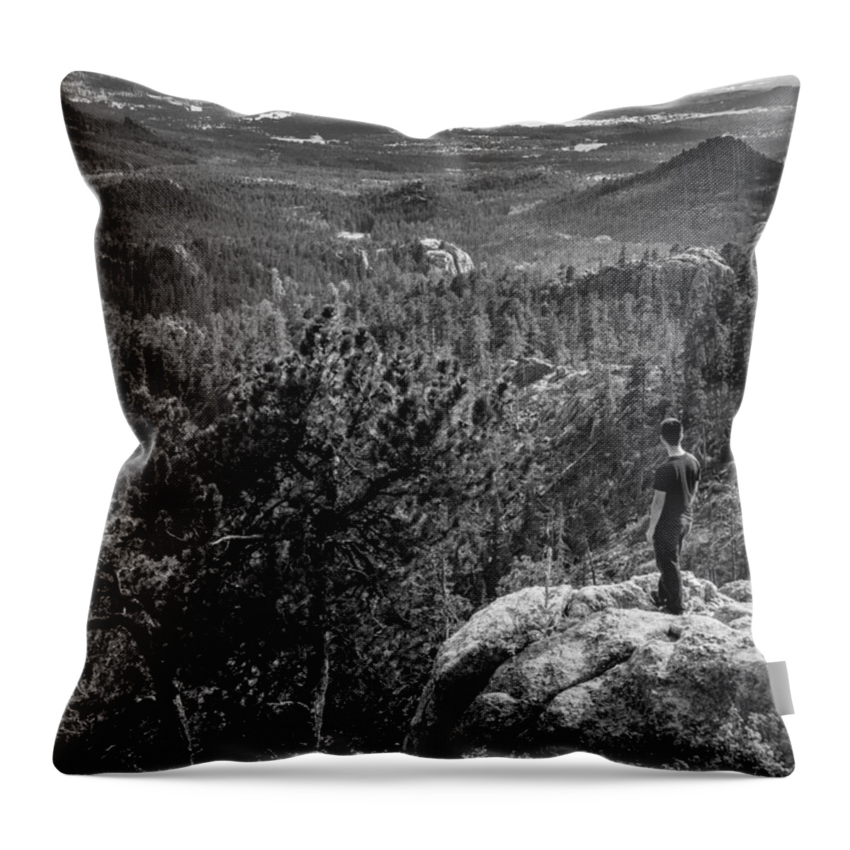 South Dakota Throw Pillow featuring the photograph Needles Point South Dakota by Jason Moynihan