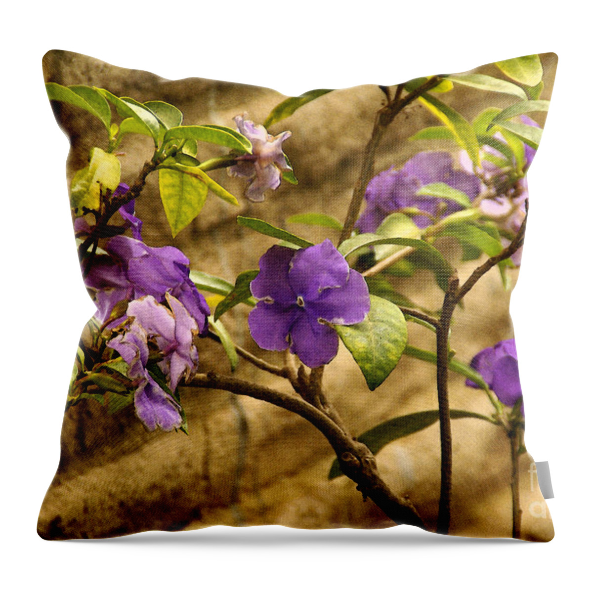Adobe-wall Throw Pillow featuring the photograph Adobe Garden Wall by Linda Shafer