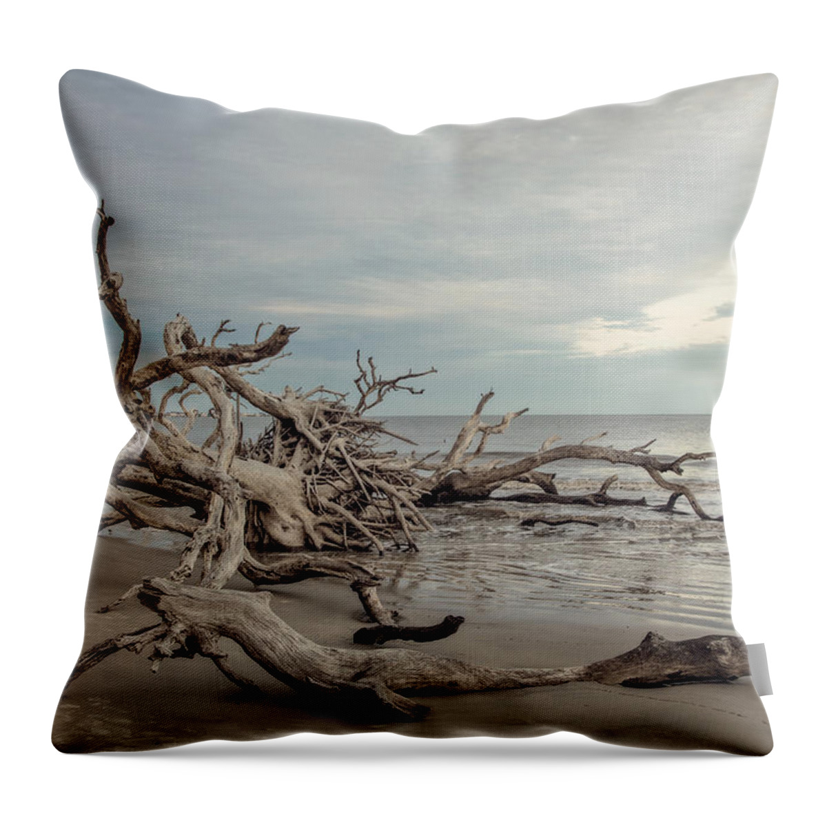Landscape Throw Pillow featuring the photograph Adrift in the Golden Hour 5 by Tracey Lovin