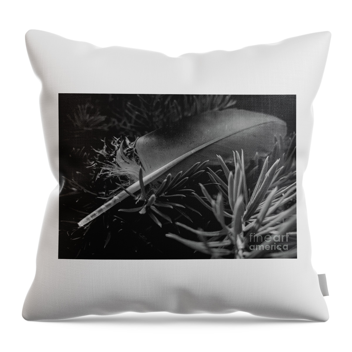 Feather Throw Pillow featuring the photograph Afeather by James Aiken