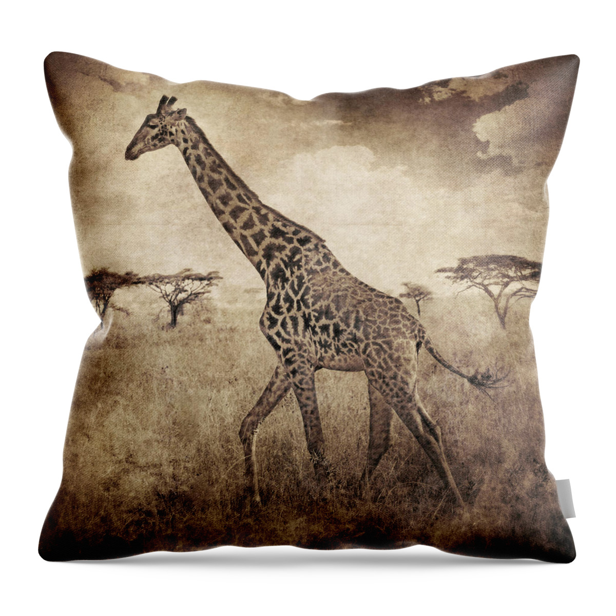 Brett Throw Pillow featuring the digital art Africa Series - Giraffe by Brett Pfister