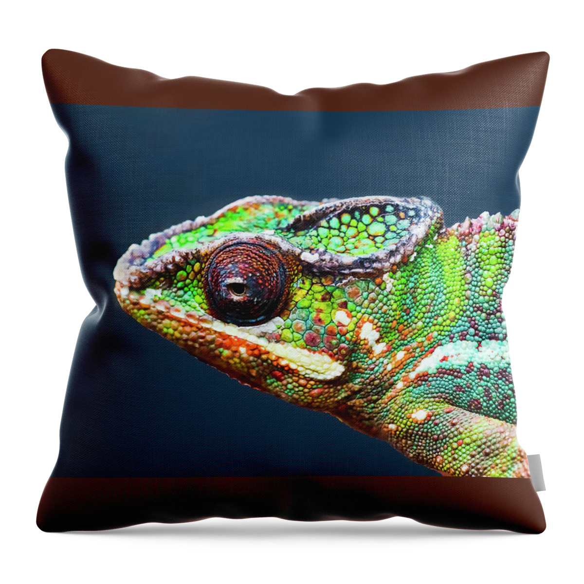 African Chameleon Throw Pillow featuring the photograph African Chameleon by Richard Goldman