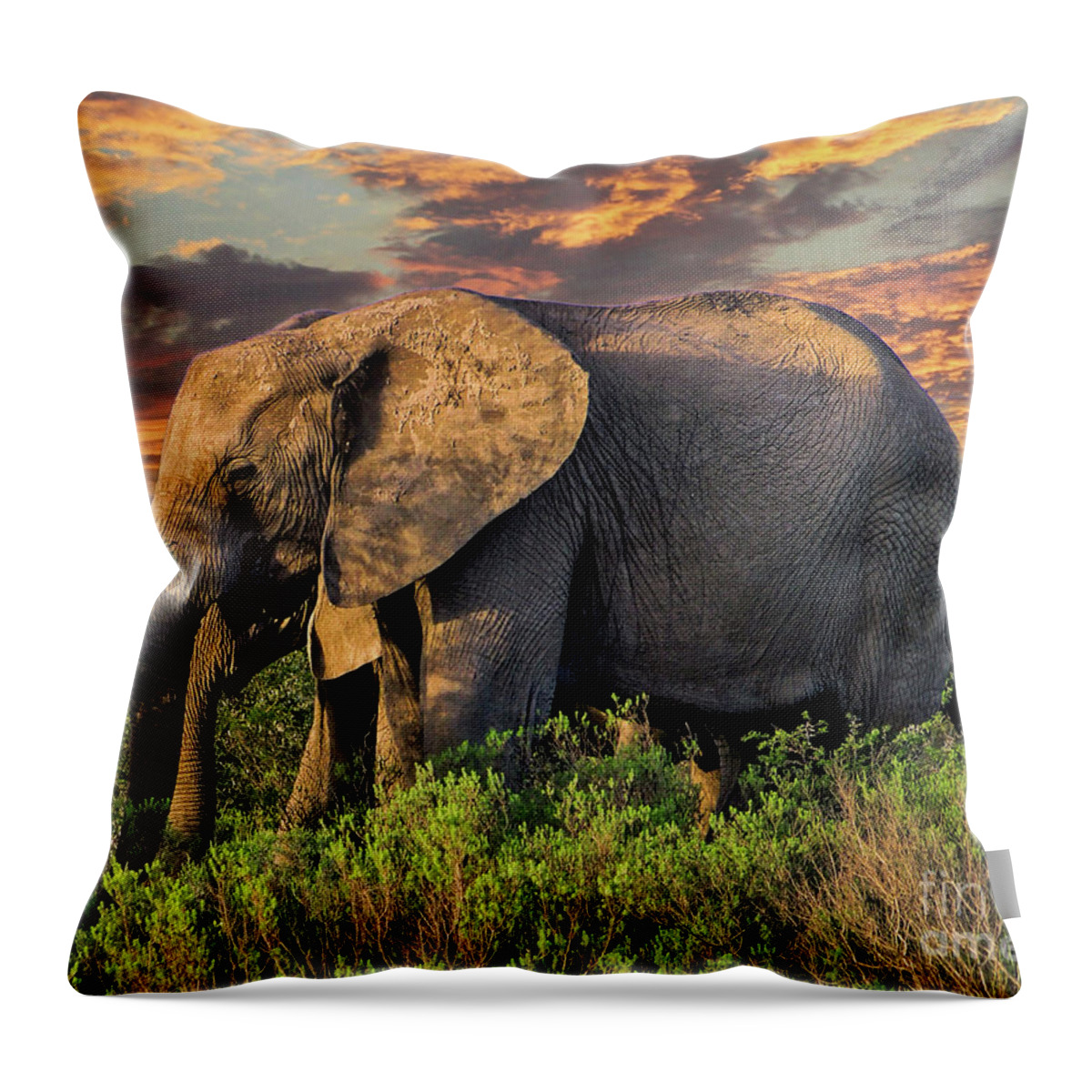 African Elephant Throw Pillow featuring the photograph African Elephants at Sunset by Lynn Bolt